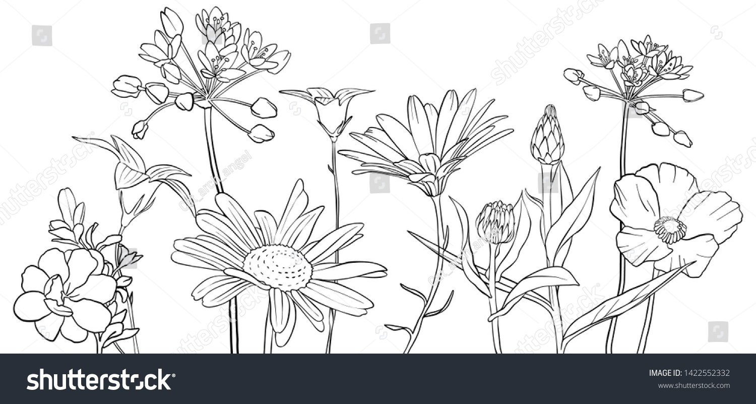 Vector Drawing Flowers Floral Composition Hand Stock Vector (Royalty ...