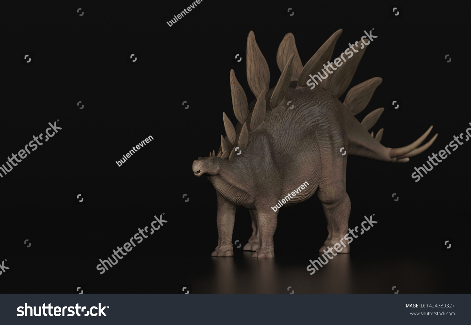 Stegosaurus Stenops Dinosaur Standing Black Background Stock Illustration Shutterstock