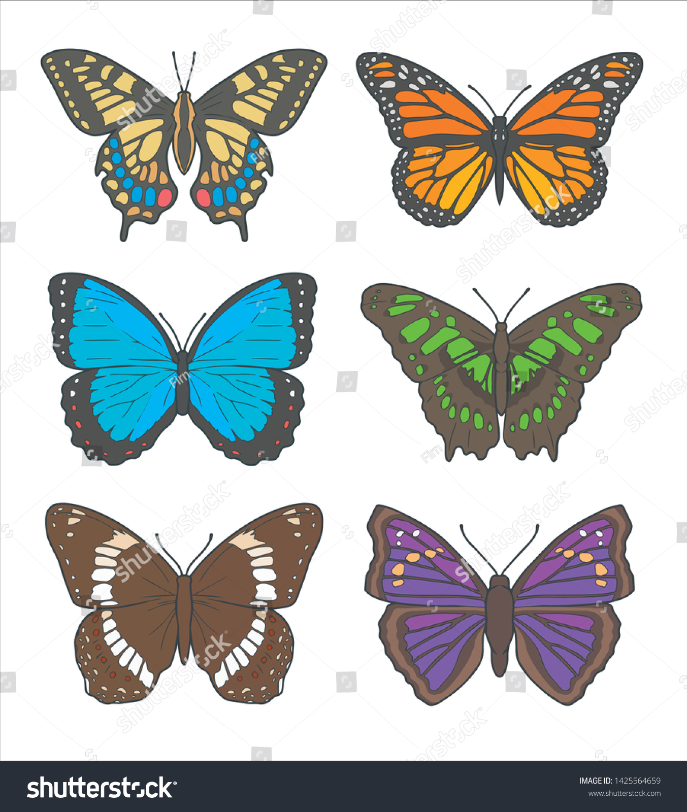 Vector Illustration Drawings Different Butterflies Including Stock ...