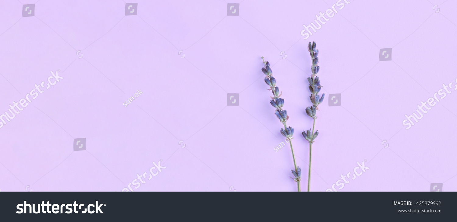 201 Floral Wallpaper Lavendar Colour Images, Stock Photos & Vectors ...