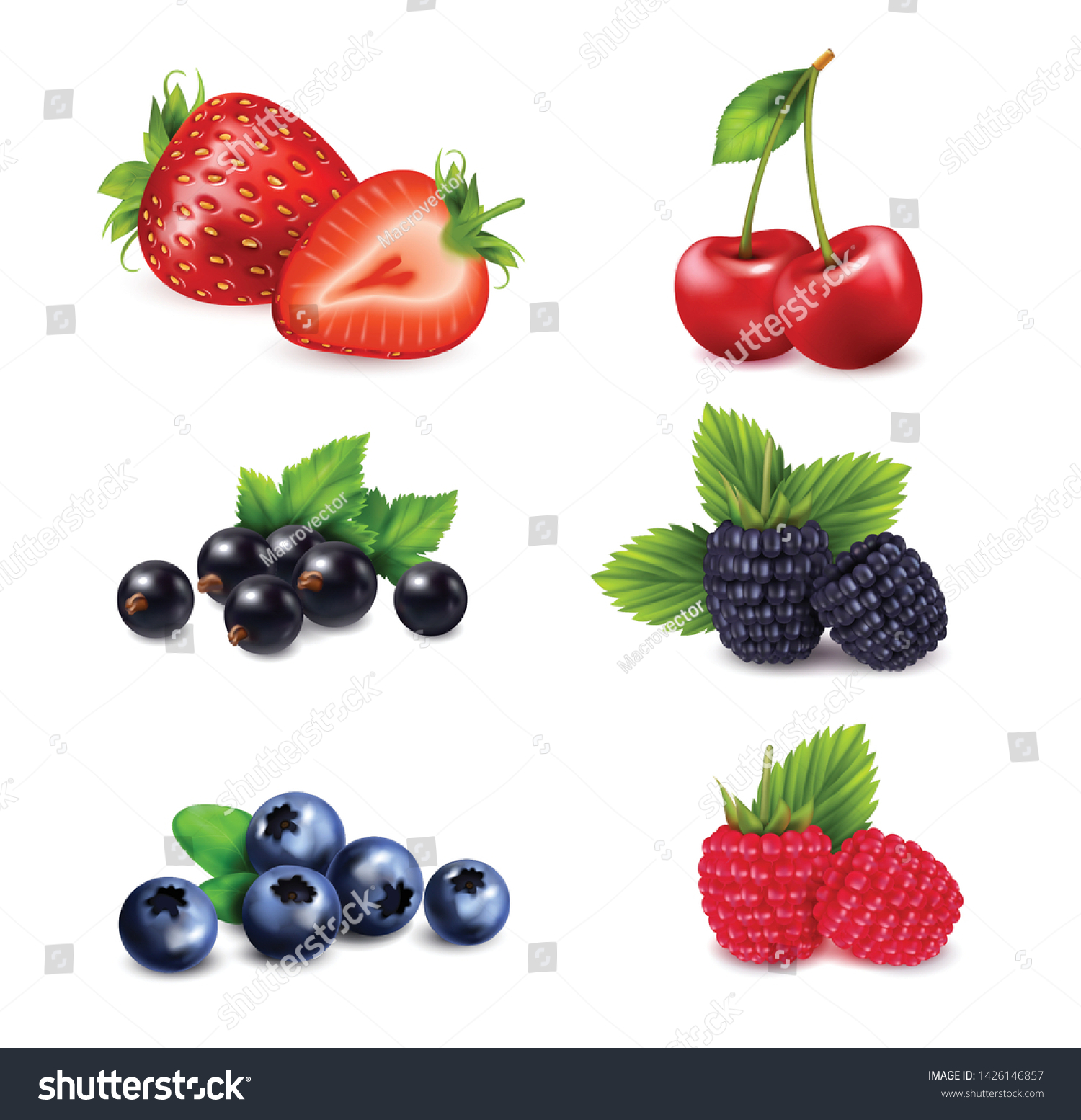Векторные ягоды