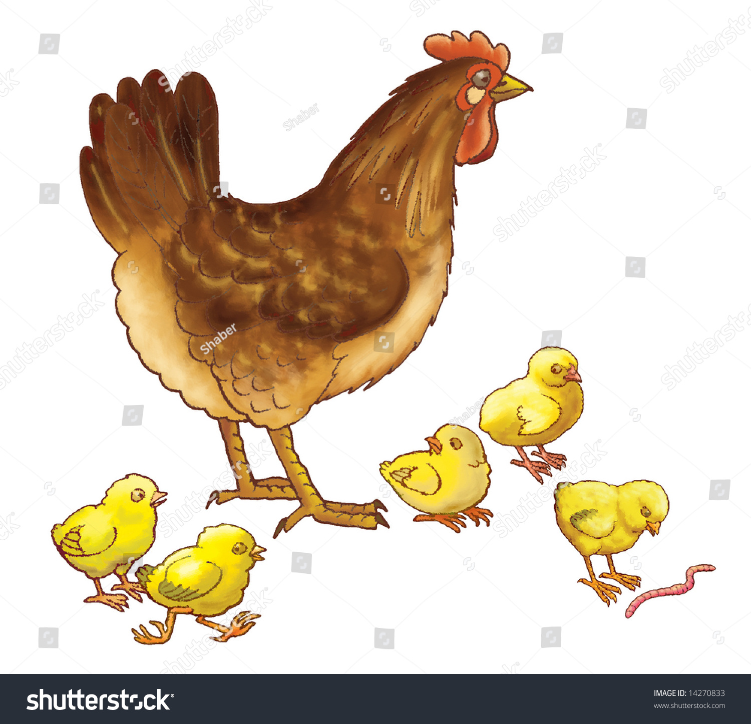 Курица с цыплятами на белом фоне