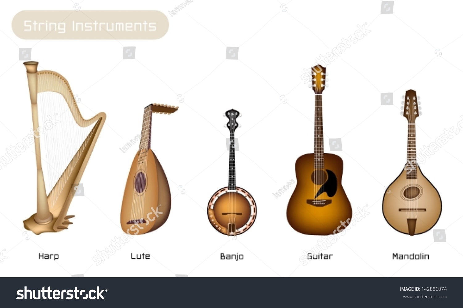 Музыкальный инструмент похожий на гитару. Мандолина струнные Щипковые музыкальные инструменты мандолина. Банджо струнные Щипковые музыкальные инструменты. Лютня струнные Щипковые музыкальные инструменты. Мандолина , лютня ,банджо.