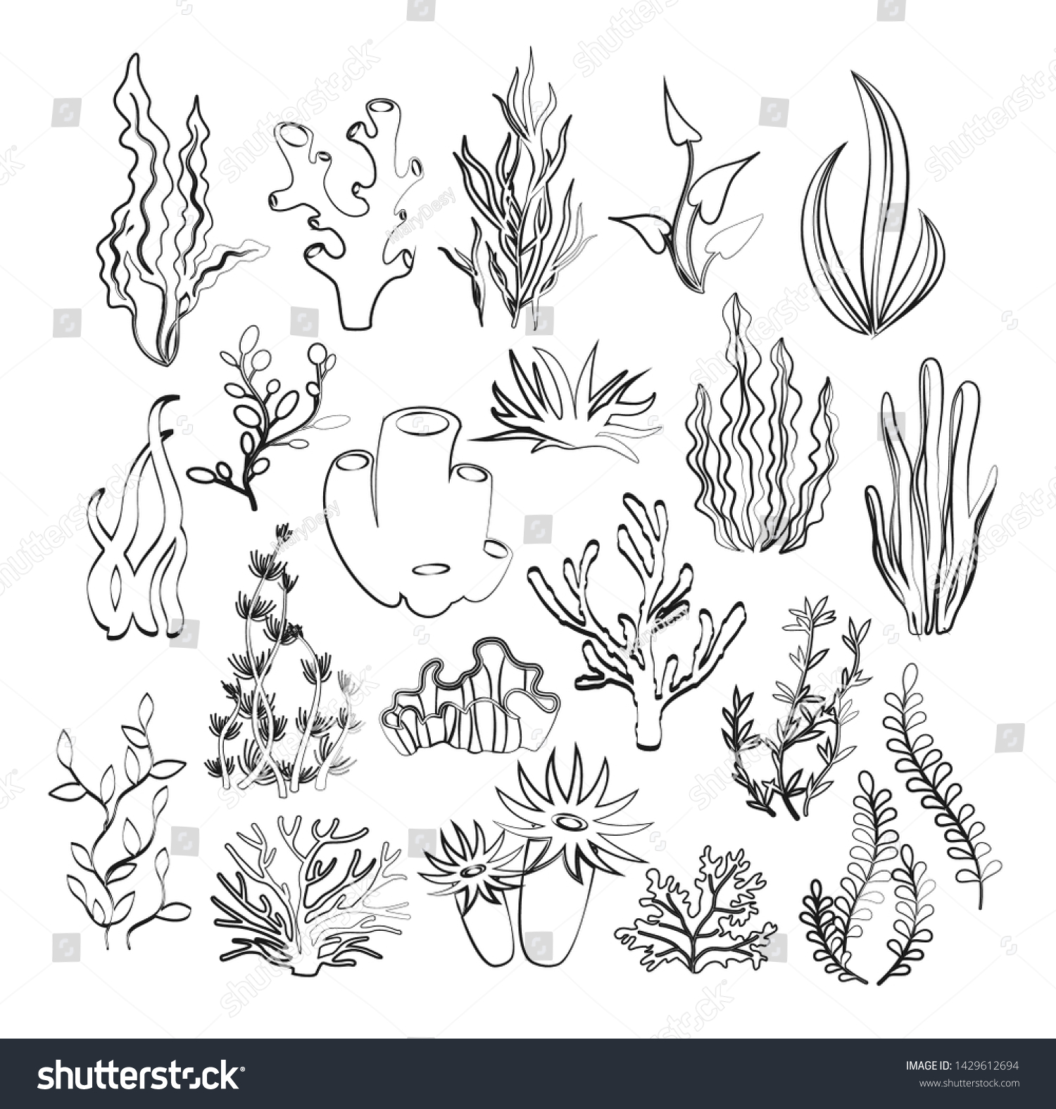 Vector Illustration Outline Seaweeds Planting Marine Stock Vector ...