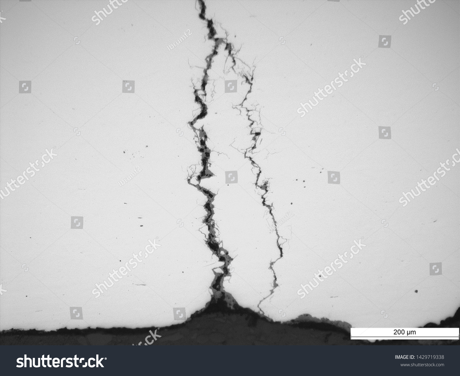 Intergranular Cracking Welded 6 A53 Grade Stock Photo 1429719338 ...