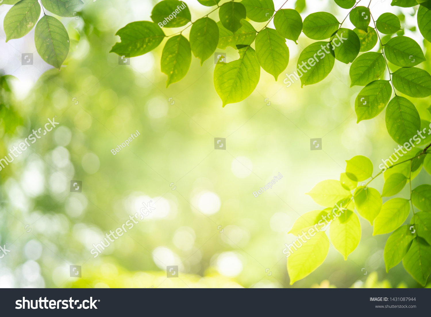 Green Nature Background Closeup View Green Stock Photo 1431087944 ...