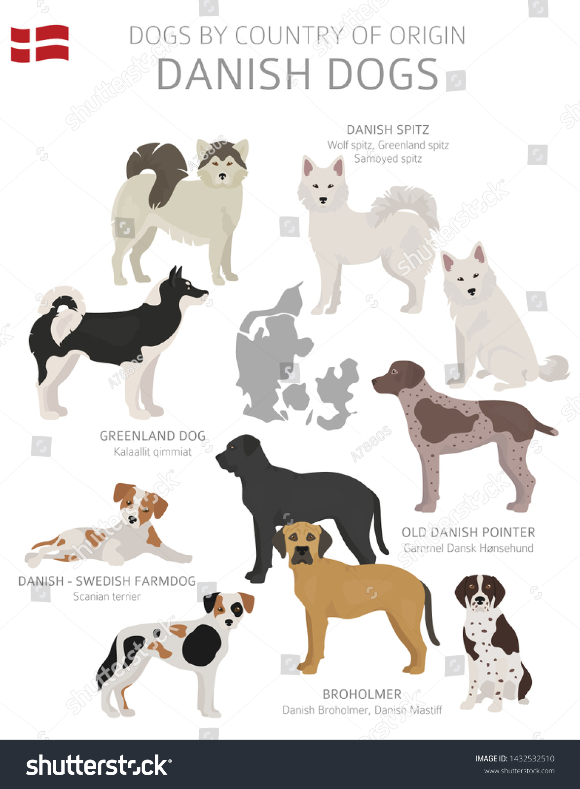 Dogs By Country Origin Danish Dog Stock Vector (Royalty Free ...