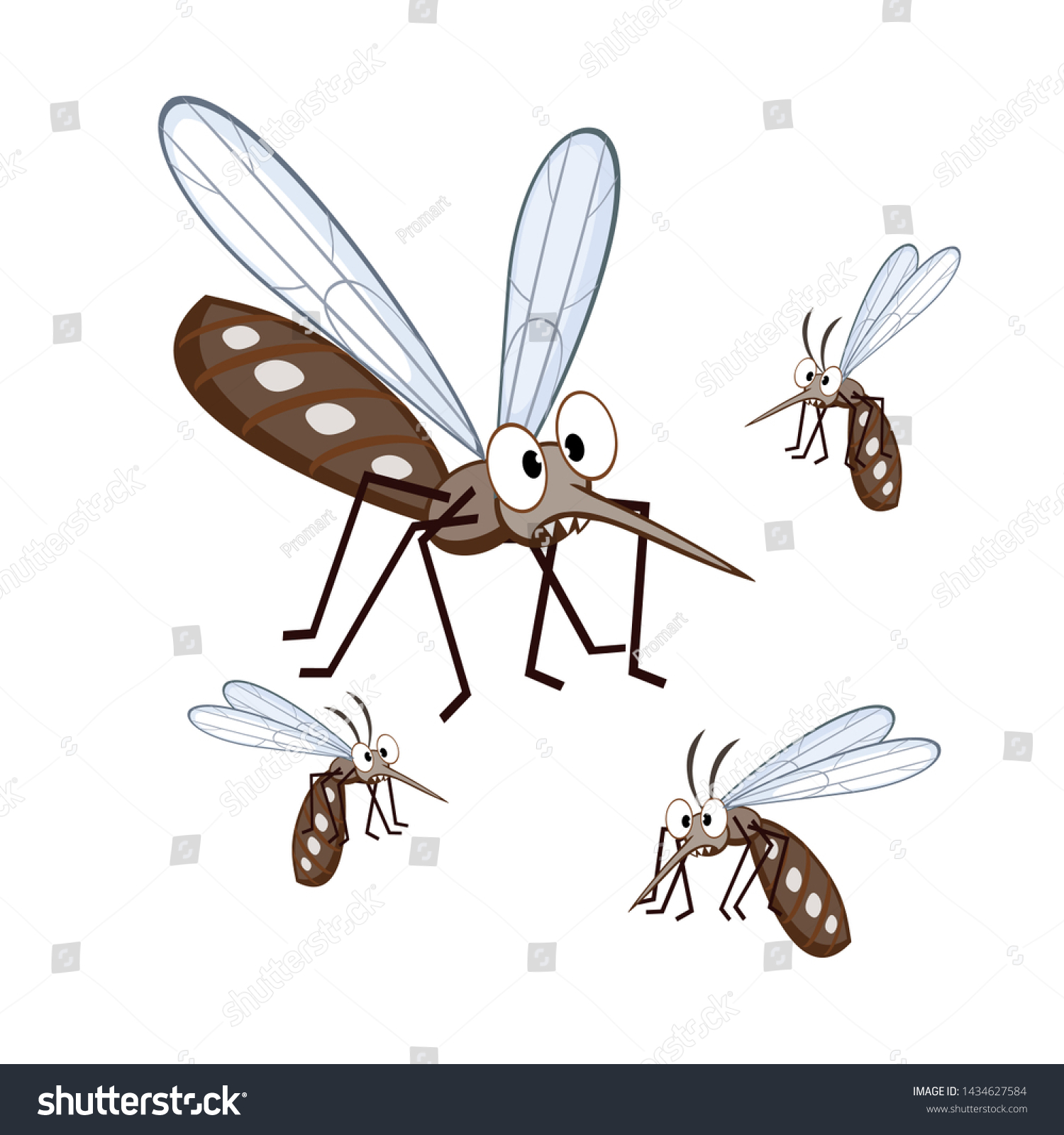 Cartoon Mosquito Aedes Aegypti White Background Stock Vector (Royalty ...