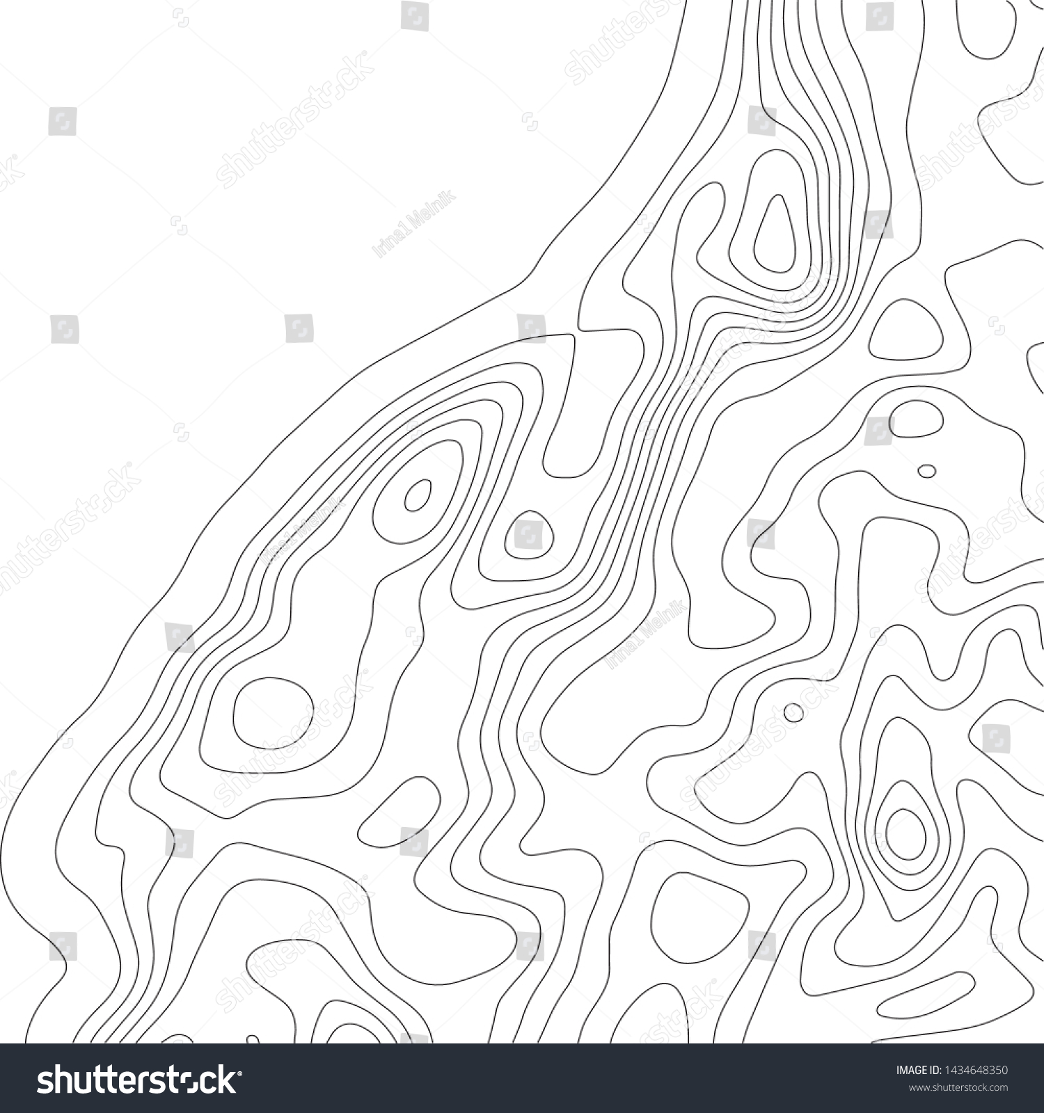 Elevation Map Topographic Backgroundvector Illustretion Stock Vector   Stock Vector Elevation Map Topographic Background Vector Illustretion 1434648350 