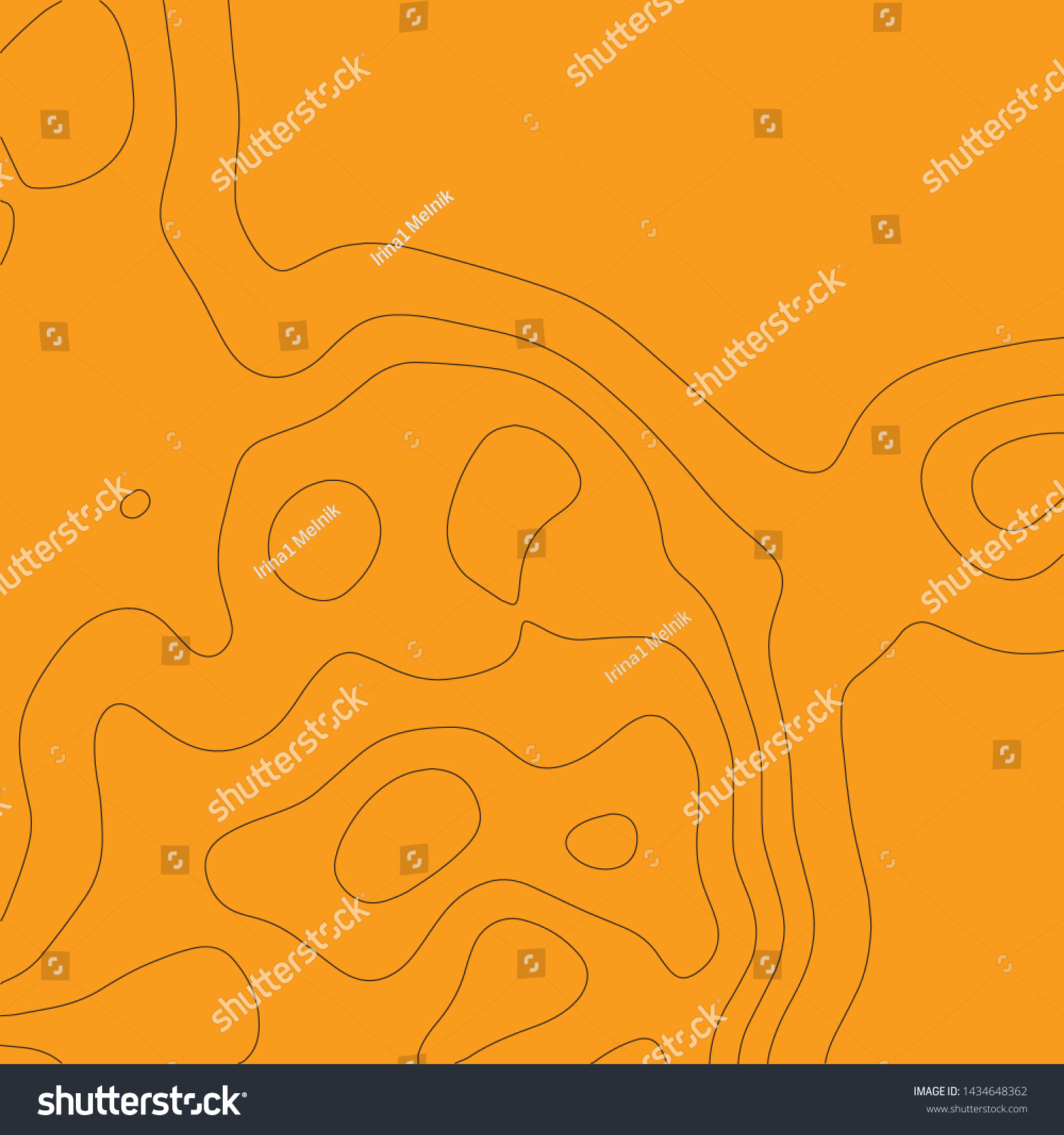 Elevation Map Topographic Backgroundvector Illustretion Stock Vector 