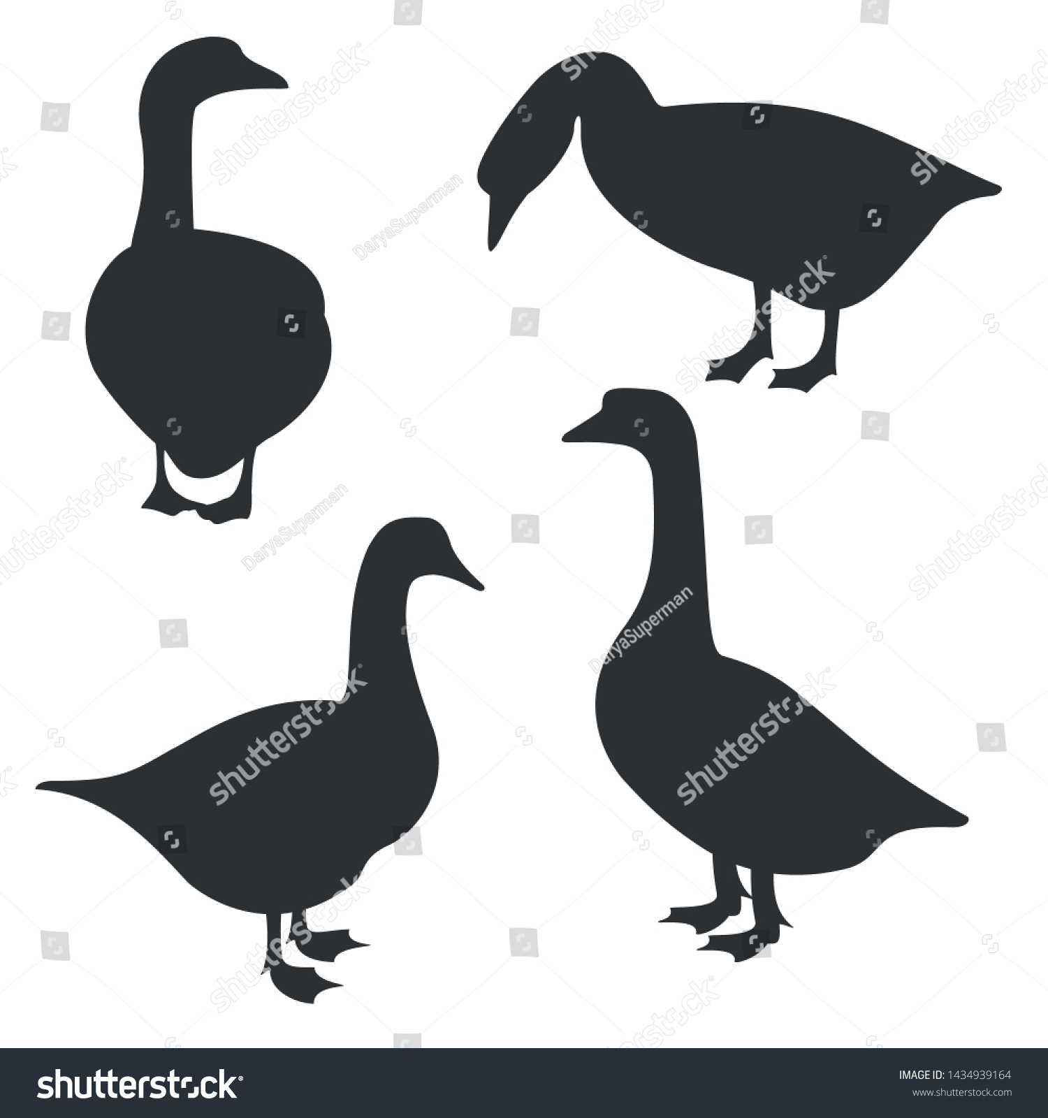 Gander Black Silhouette On White Background Stock Vector (Royalty Free ...