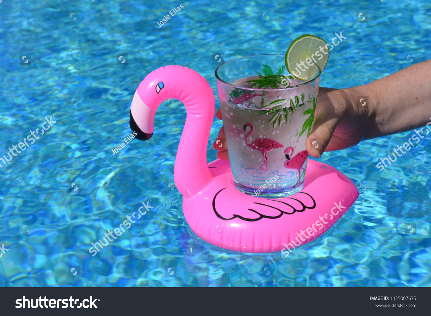 930 Flamingo Cup Images, Stock Photos & Vectors | Shutterstock