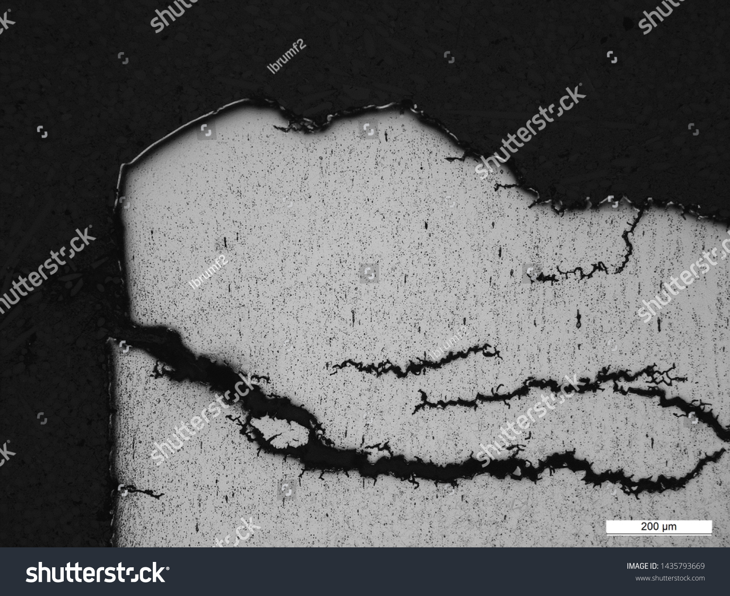 Stress Corrosion Cracking Inconel 625 Thermocouple Stock Photo ...