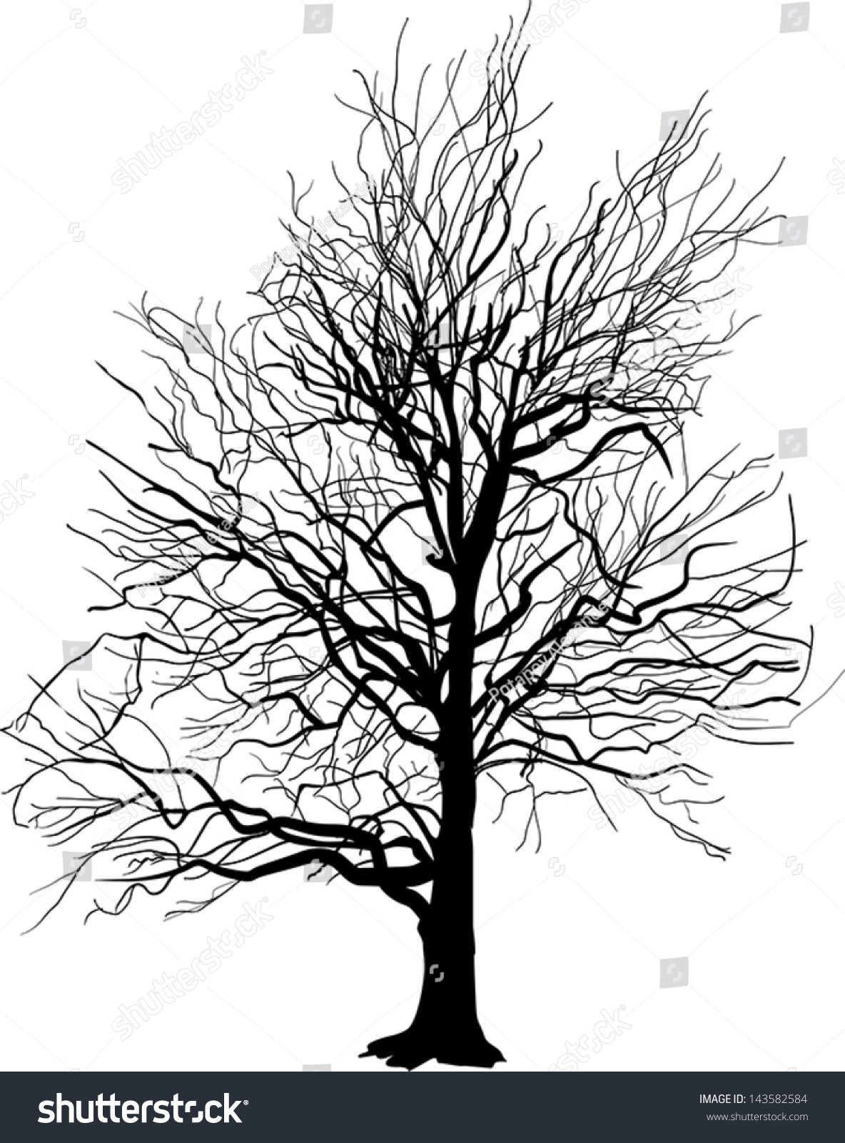 Illustration Bare Tree Isolated On White Stock Vector (Royalty Free ...