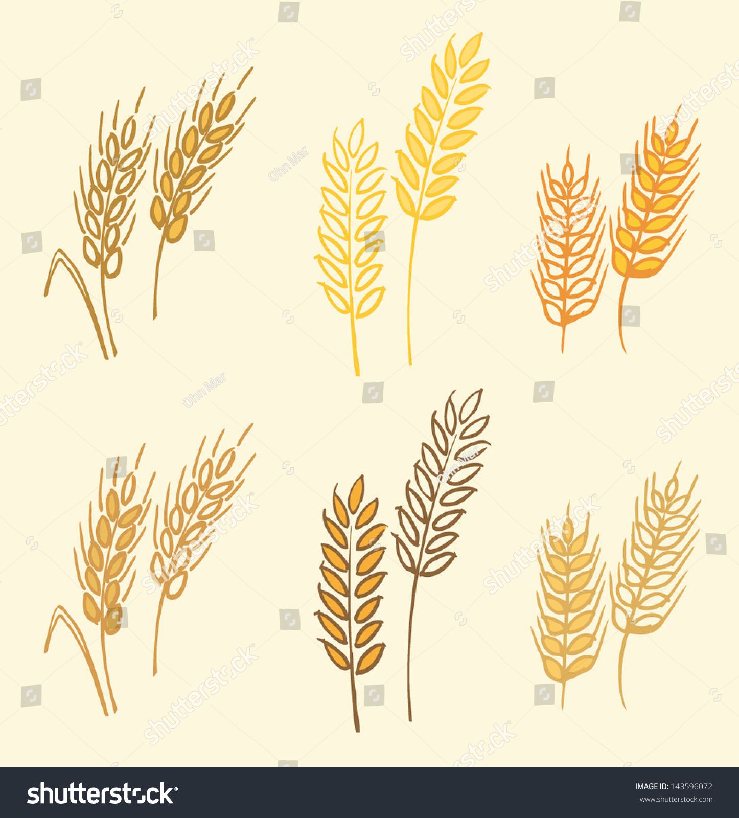 Wheat Barley Ears Vector Illustration Stock Vector (Royalty Free ...