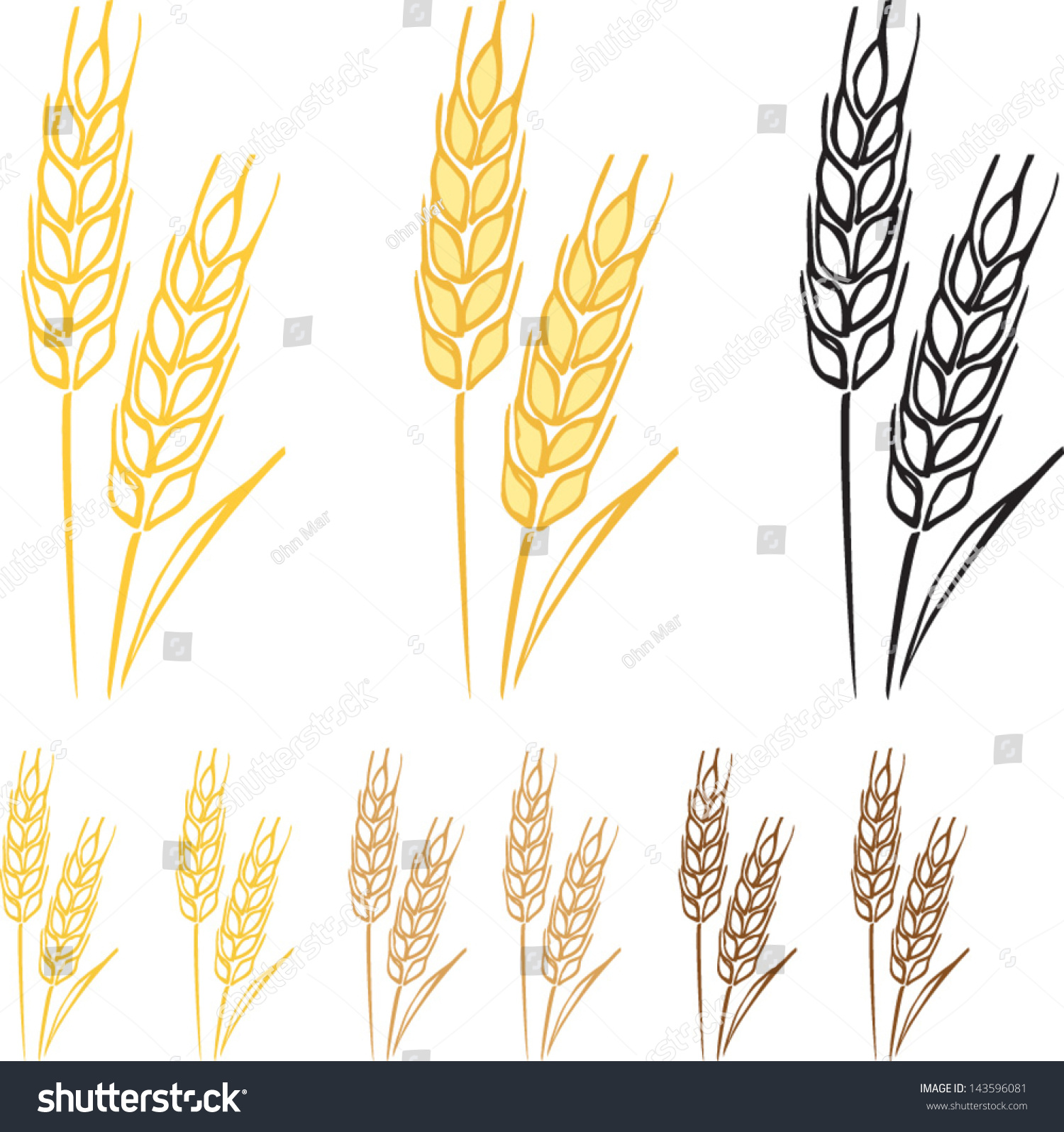 Пшеница раскрасить