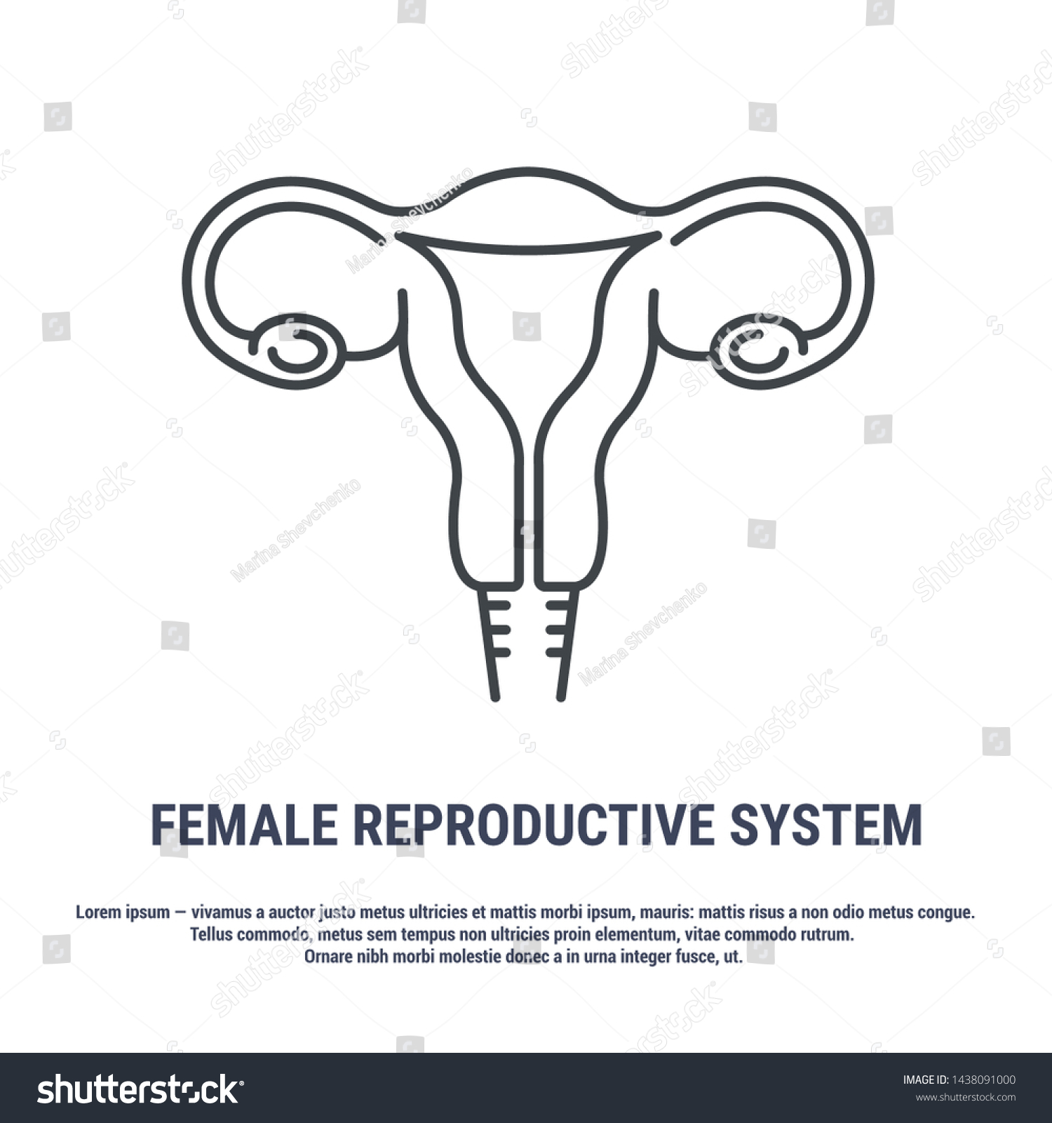 4 557 Female Reproductive System Icon 이미지 스톡 사진 및 벡터 Shutterstock