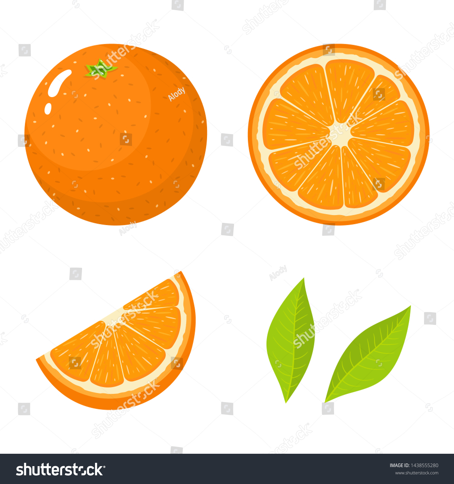 Set Fresh Whole Half Cut Slice Stock Vector (Royalty Free) 1438555280 ...