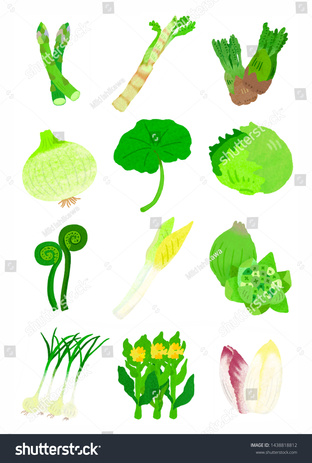これは日本の春野菜です 家庭料理の具です 野菜と野菜です 日本の食材のイラストです のイラスト素材 Shutterstock