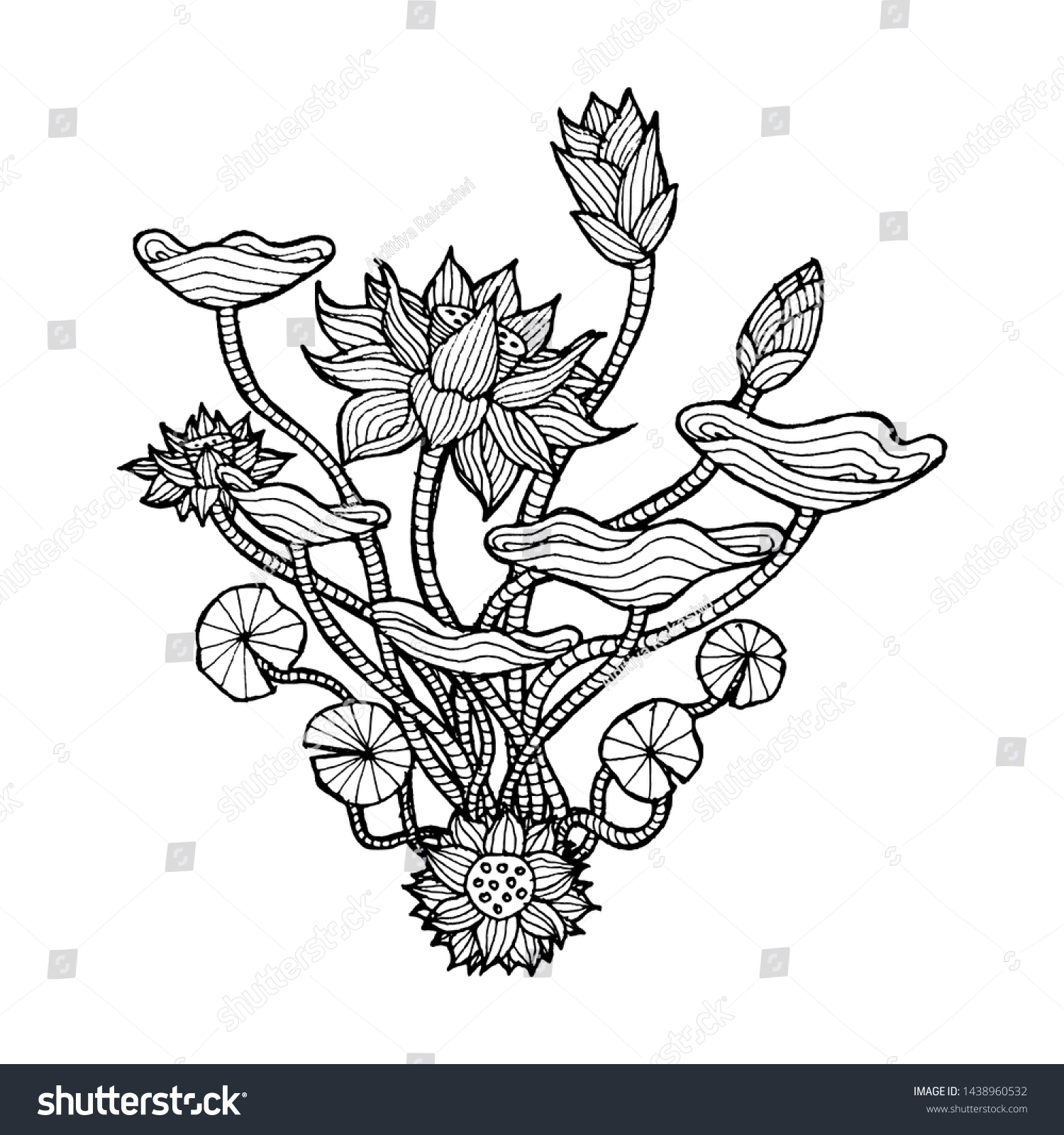 Beautiful Lotus Flower Sketch Hand Drawn Stock Vector Royalty Free 1438960532 Shutterstock 1235