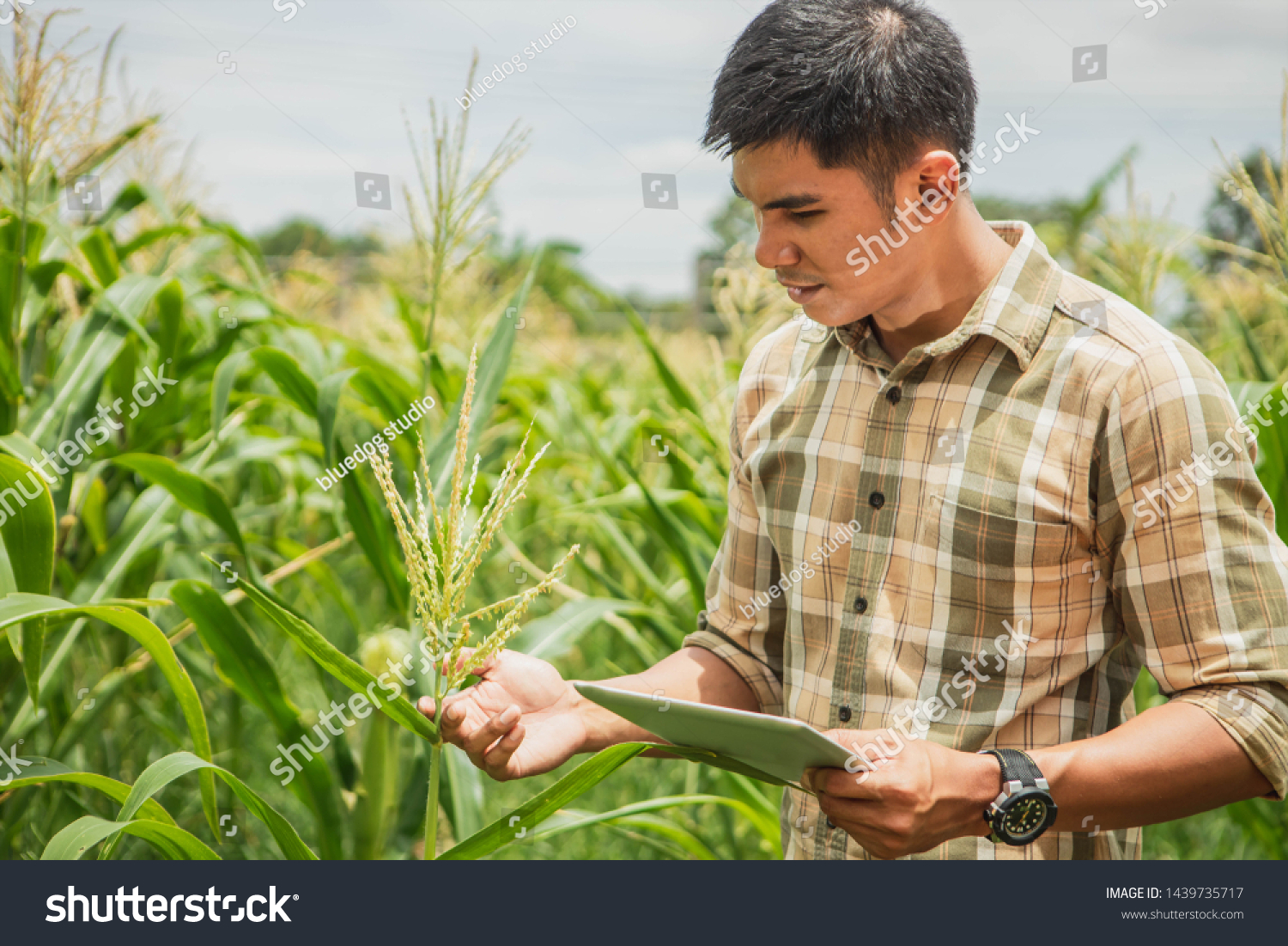 Agriculture reading