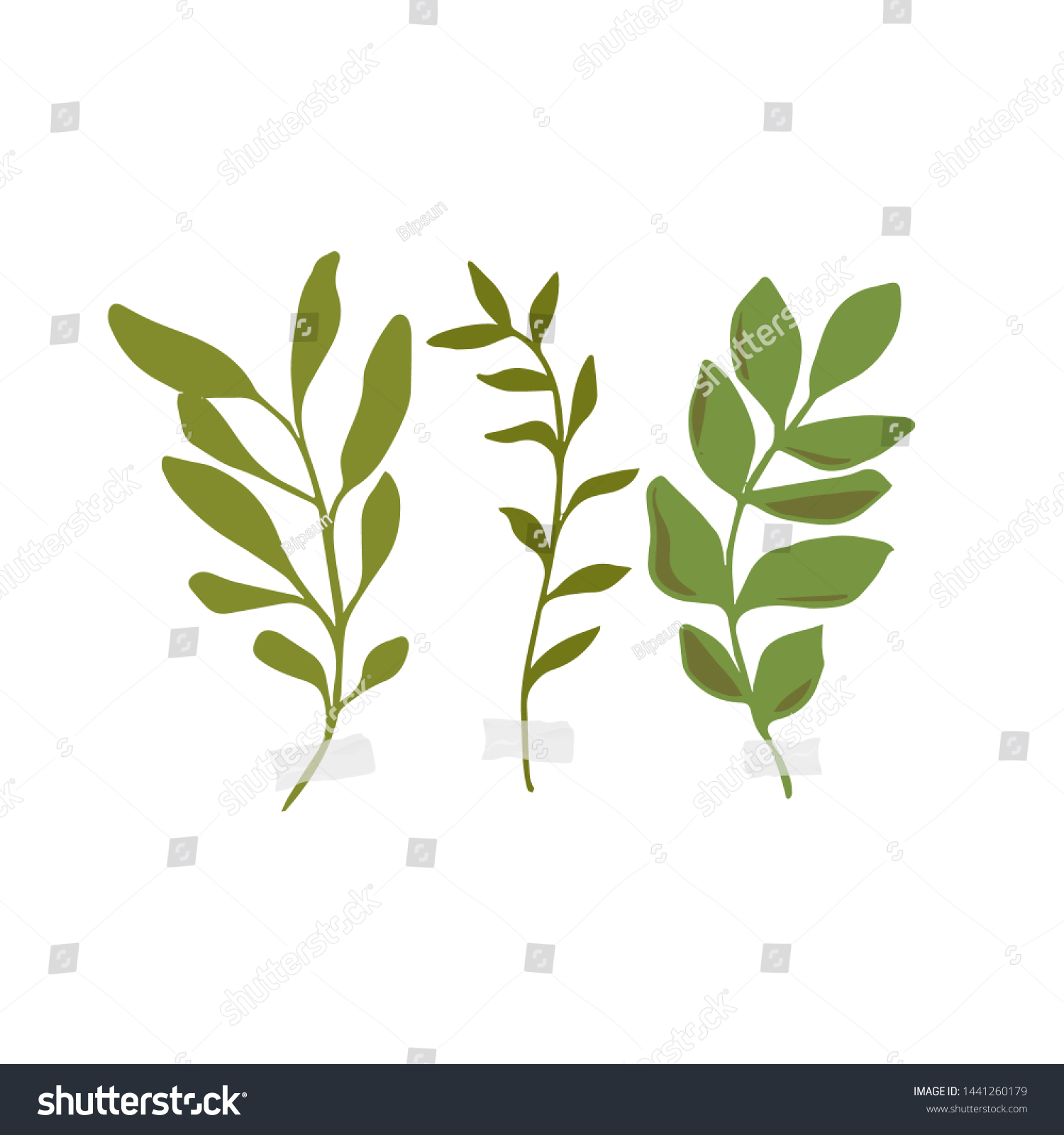 Vector Botanic Illustrations Botanical Clipart Set Stock Vector ...