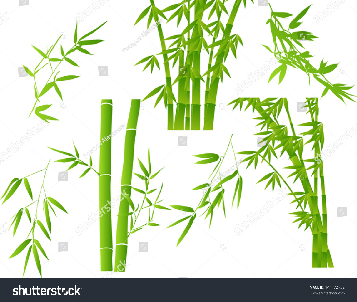 Кружки с рисунком ветка бамбука