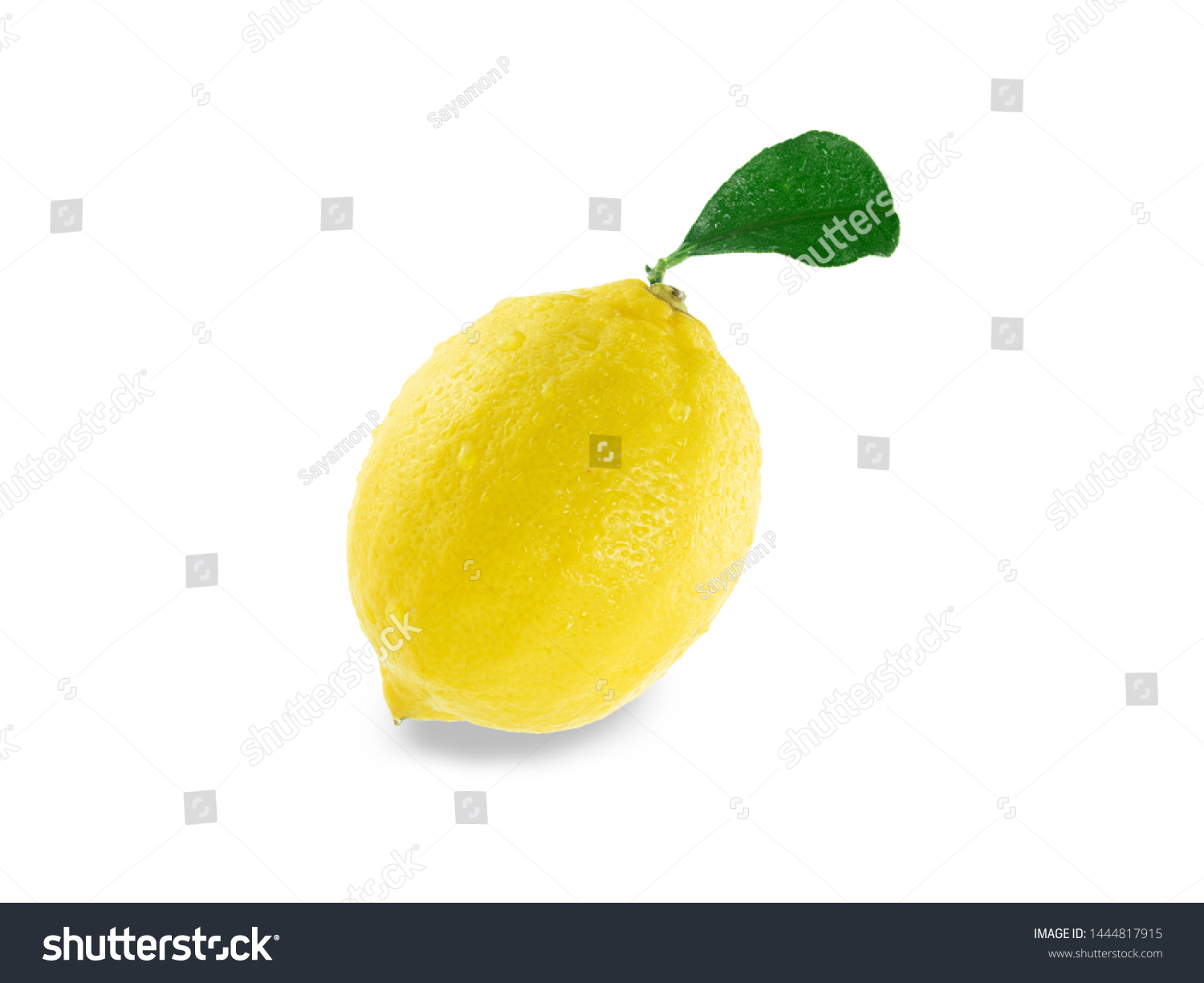 Lemon Leaf Isolated On White Background Stock Photo 1444817915