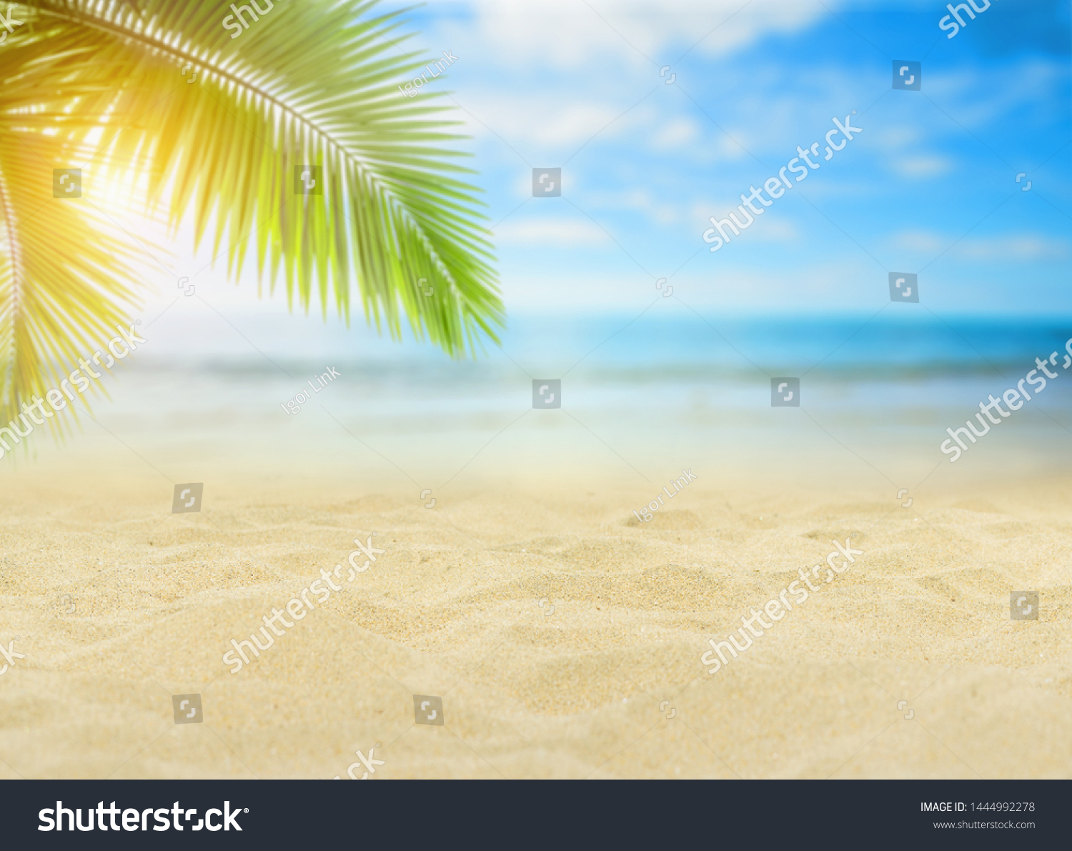 Empty Sand Beach Front Summer Sea Stock Photo 1444992278 | Shutterstock