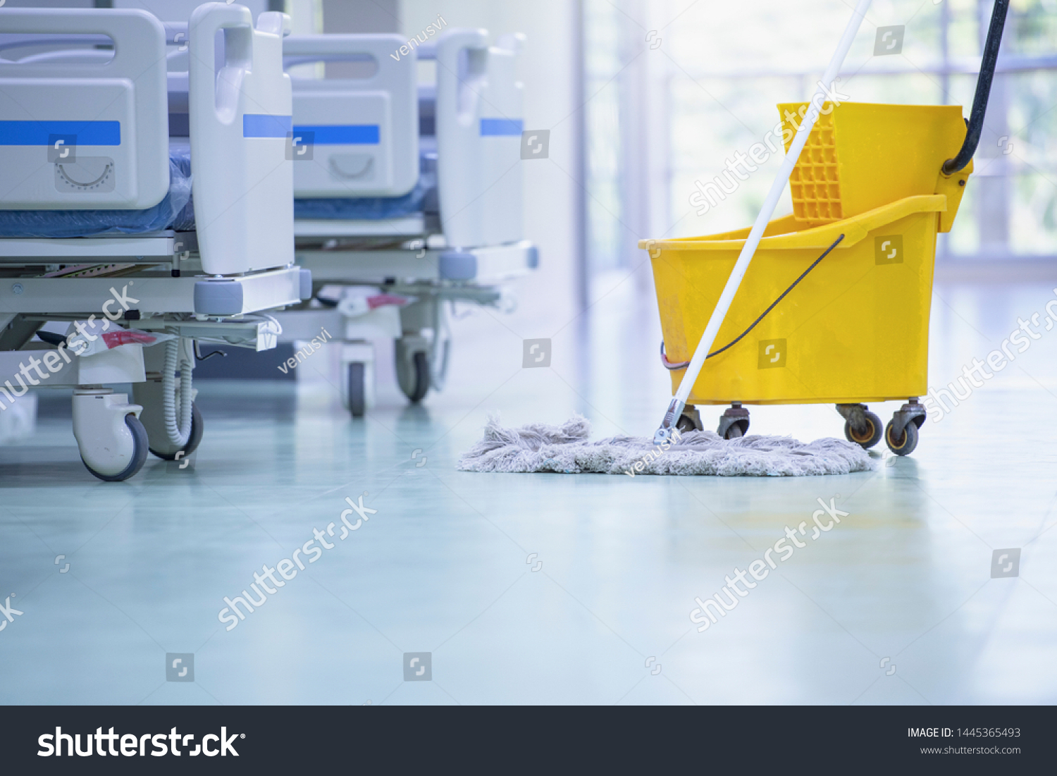 Cleaning Patient Room Modern Hospital Cleaner Stock Photo 1445365493 ...