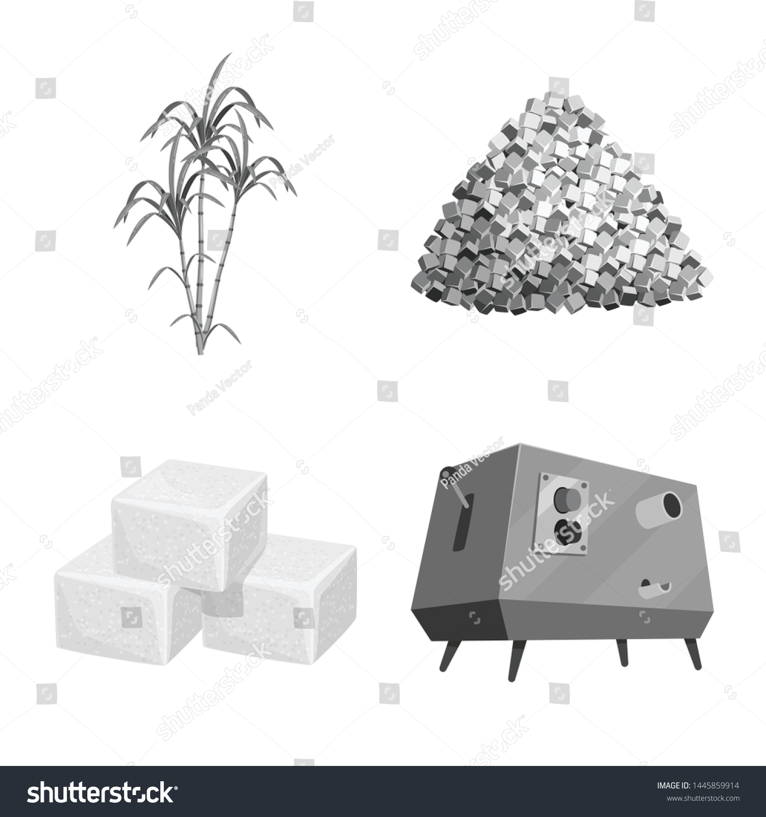 Vector Illustration Sugarcane Cane Symbol Set Stock Vector (Royalty ...