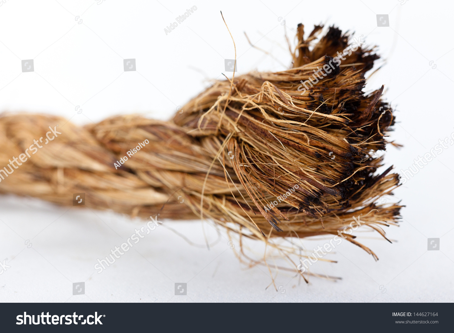 Frayed End Rope Isolated On White Stock Photo 144627164 | Shutterstock