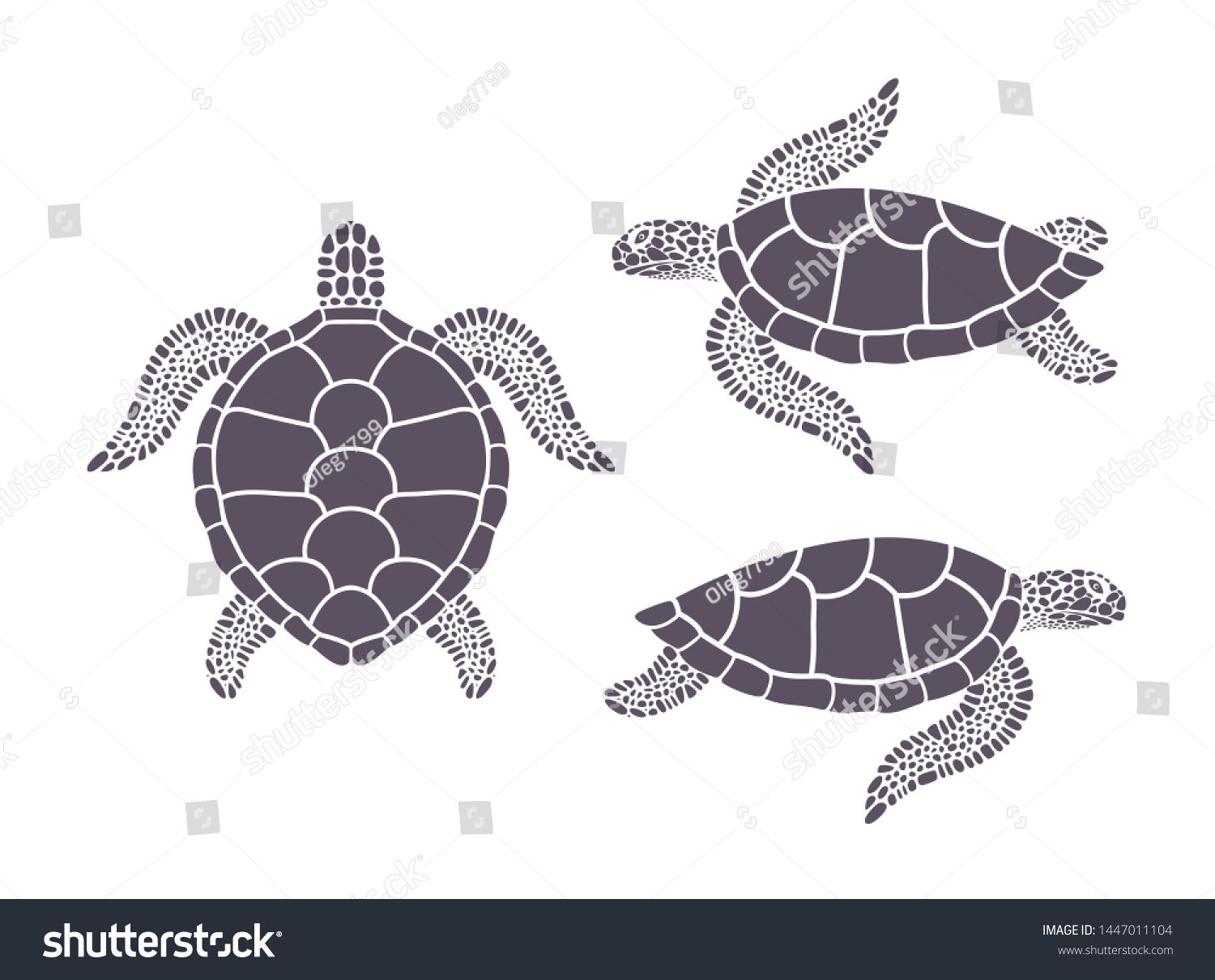 Sea Turtle Isolated Turtle On White Stock Vector (royalty Free 