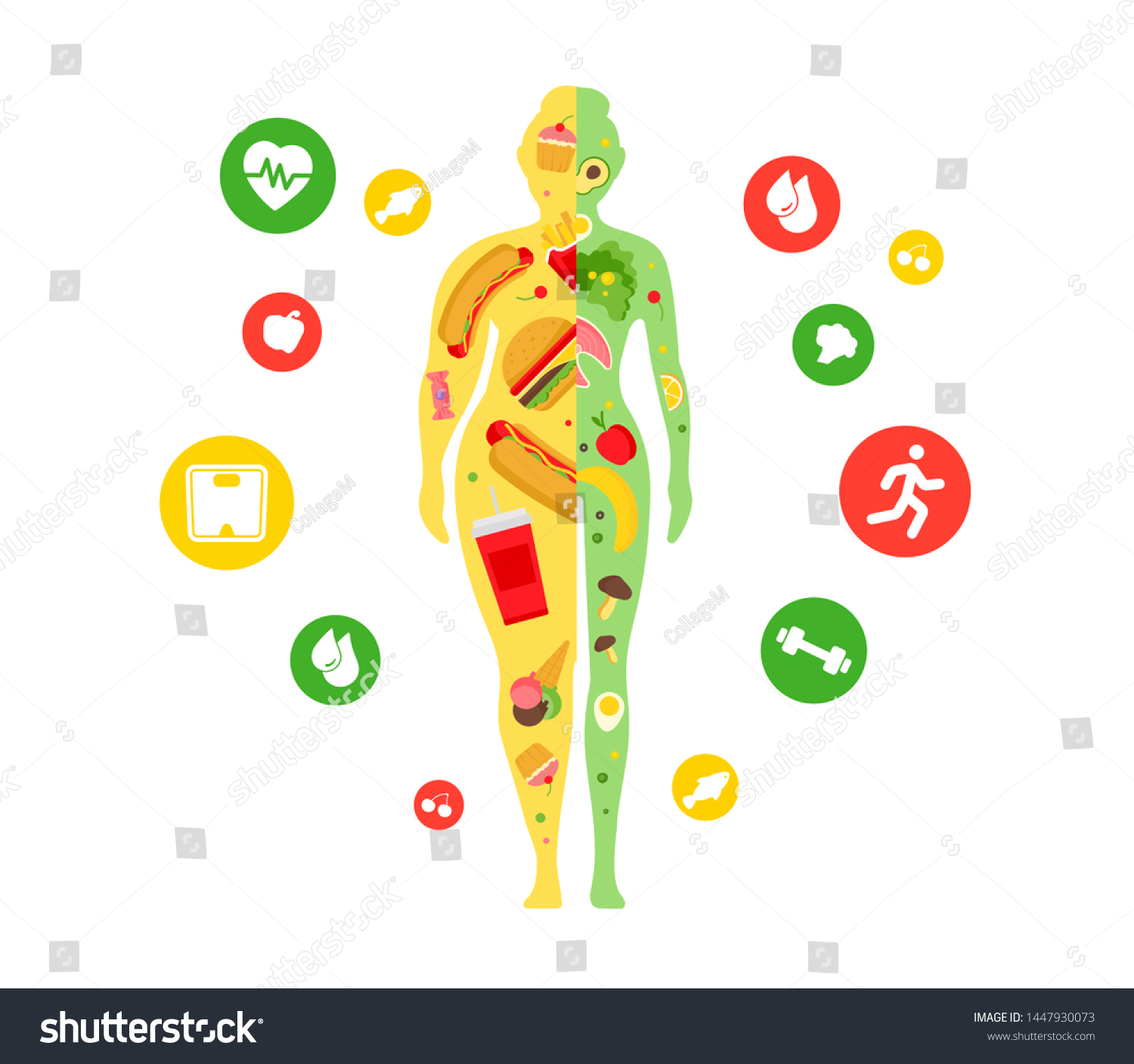 Weight Loss Concept Fat Thin Woman Stock Vector (Royalty Free ...