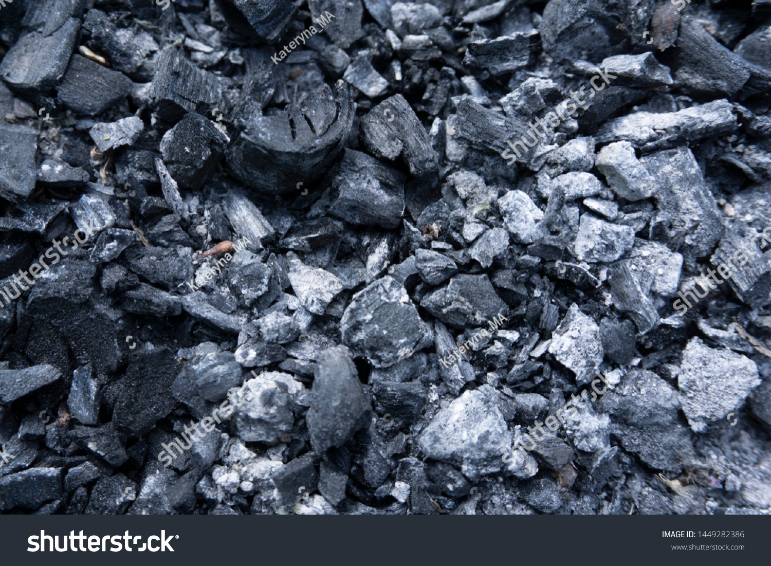 sedimentary rocks coal