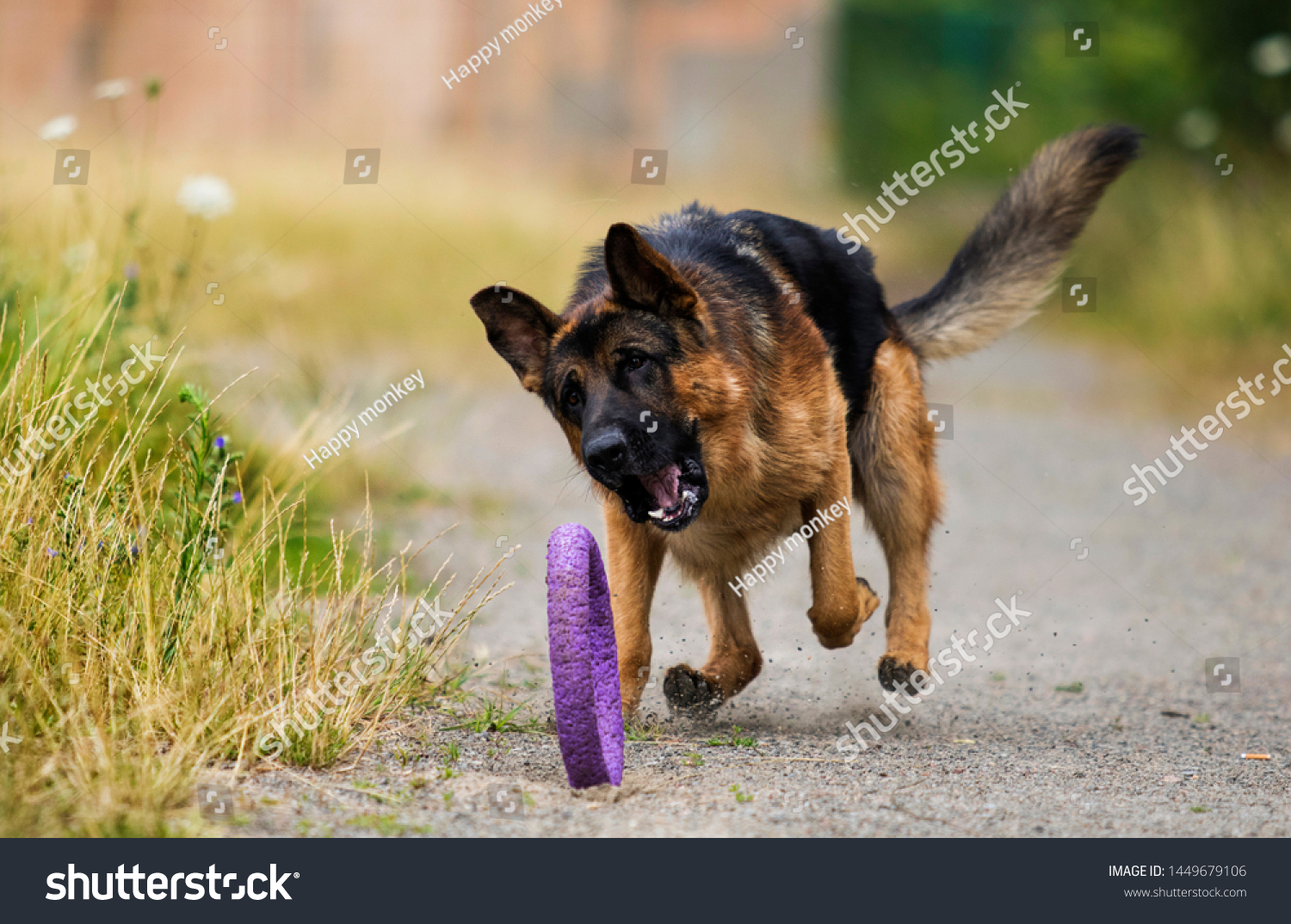 toy german shepherd dog