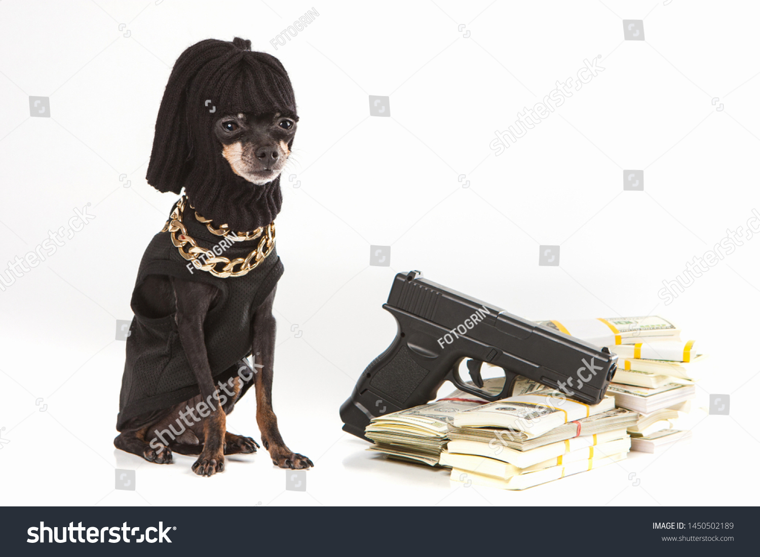 Criminal Dog Dollars Dog Robber Mask Stock Photo 1450502189 | Shutterstock