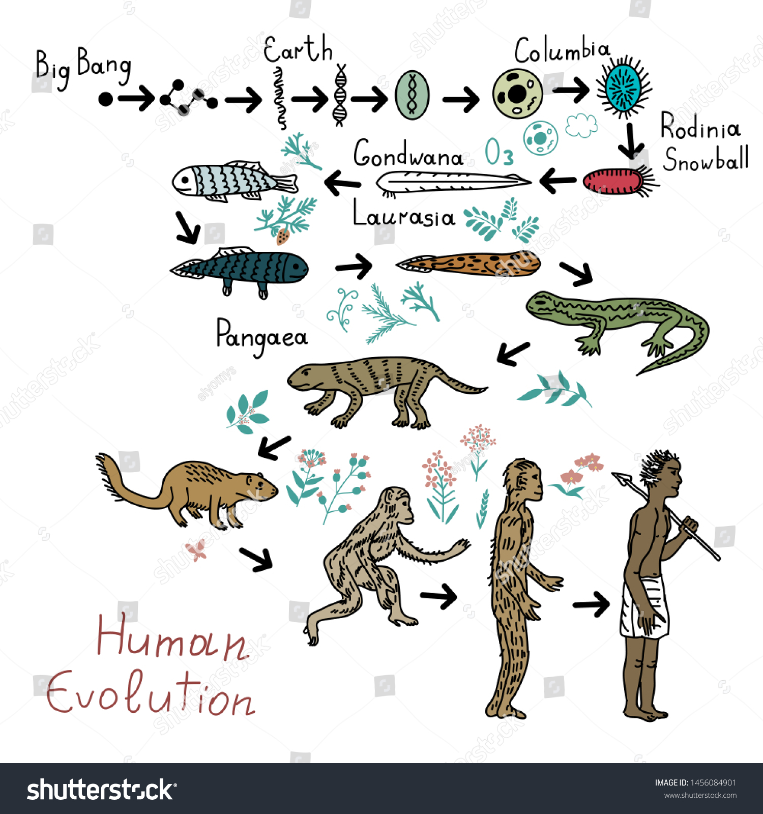 Плакат Эволюция человека