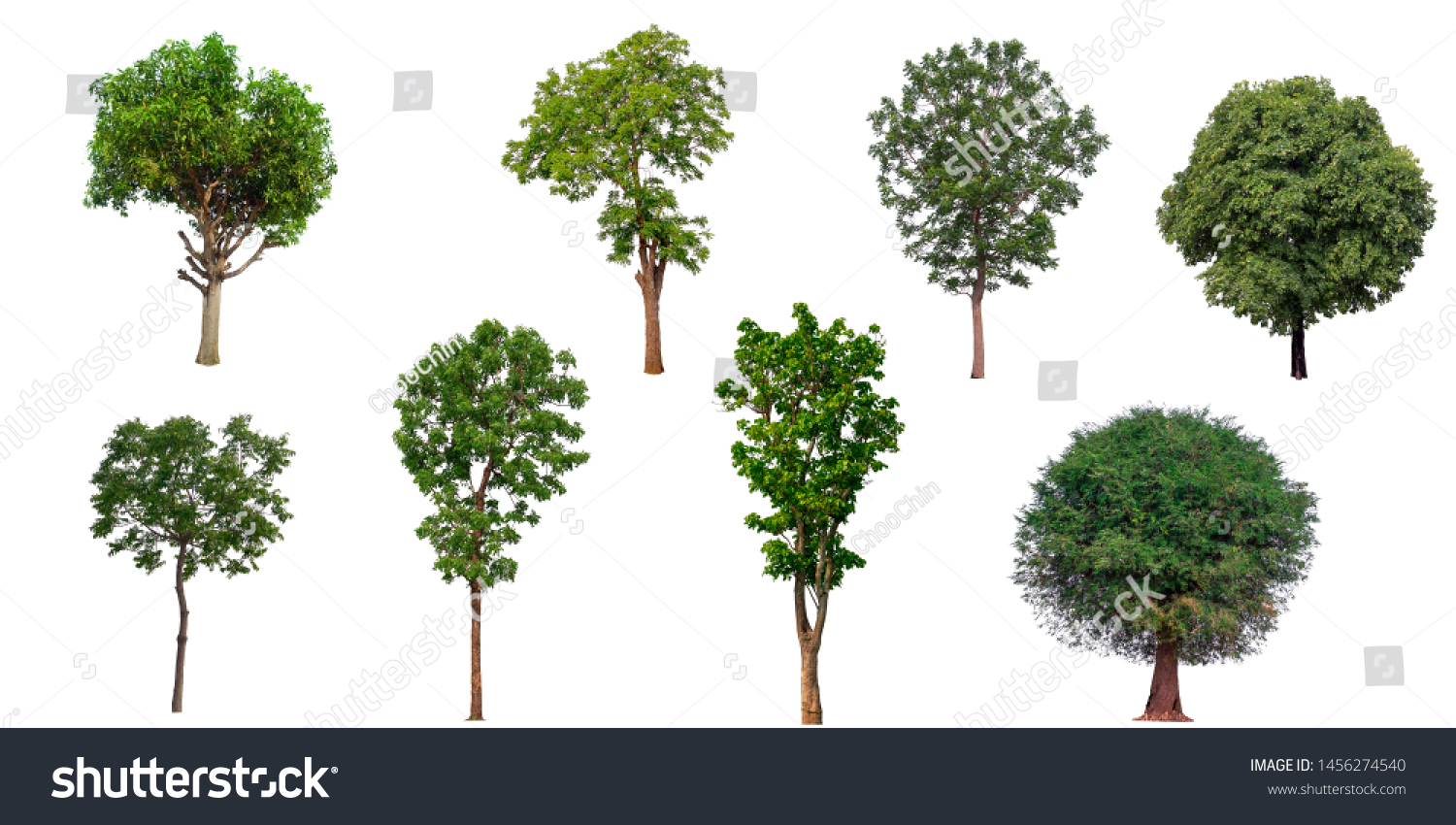 Collection Set Trees Isolated On White Stock Photo 1456274540 ...