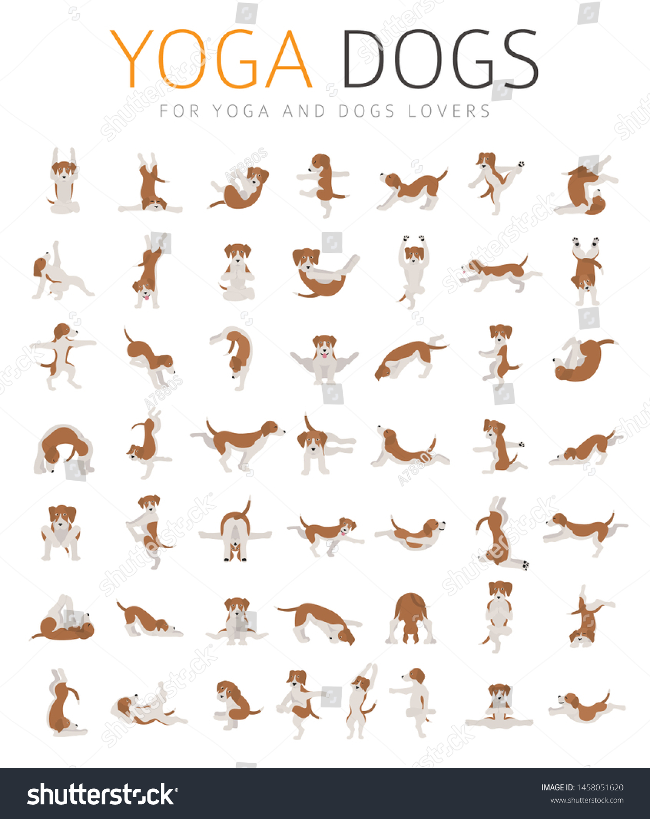 Yoga Dogs Poses Exercises Doing Clipart Stock Vector (Royalty Free ...