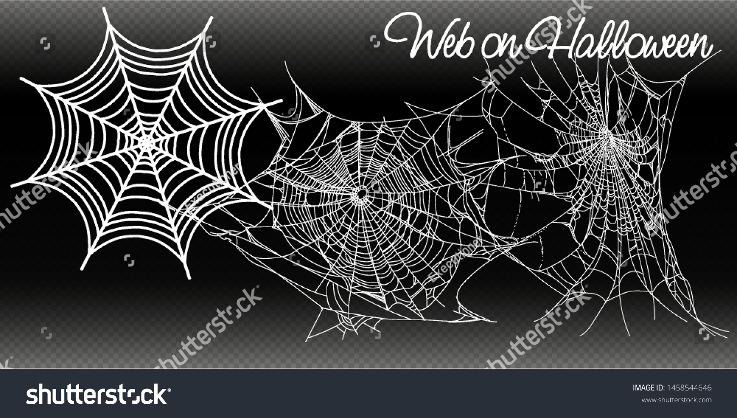 Amazing spider webs: стоковые изображения в HD и миллионы других стоковых ф...