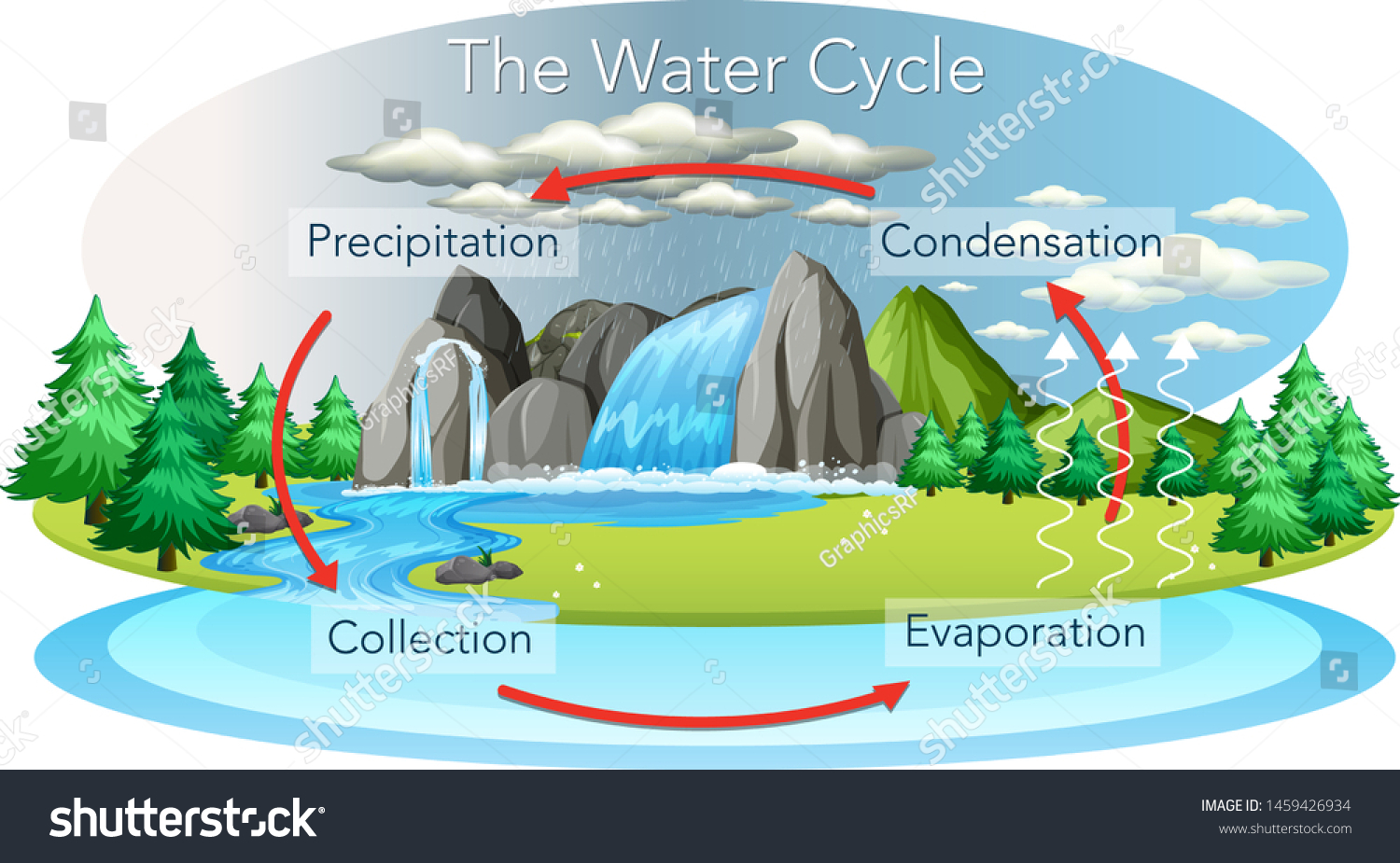 Hydrological Water Cycle On Earth Stock Vector (Royalty Free ...