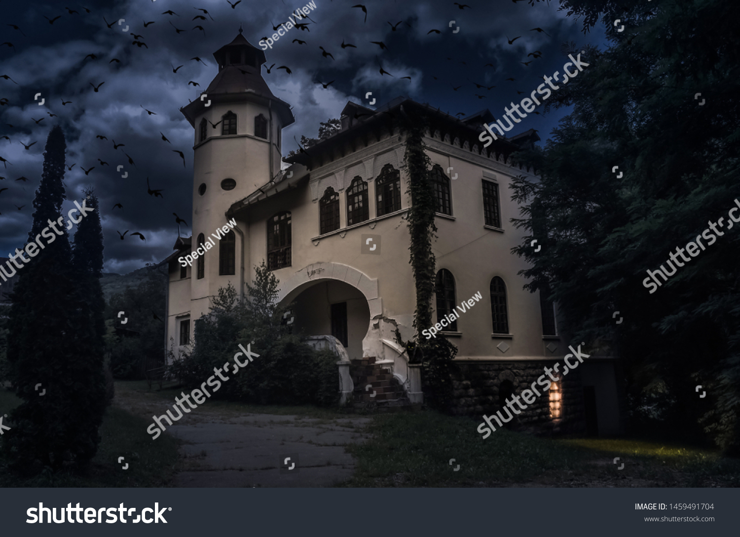 Old Creepy House Spooky Details Dark Stock Photo 1459491704 | Shutterstock