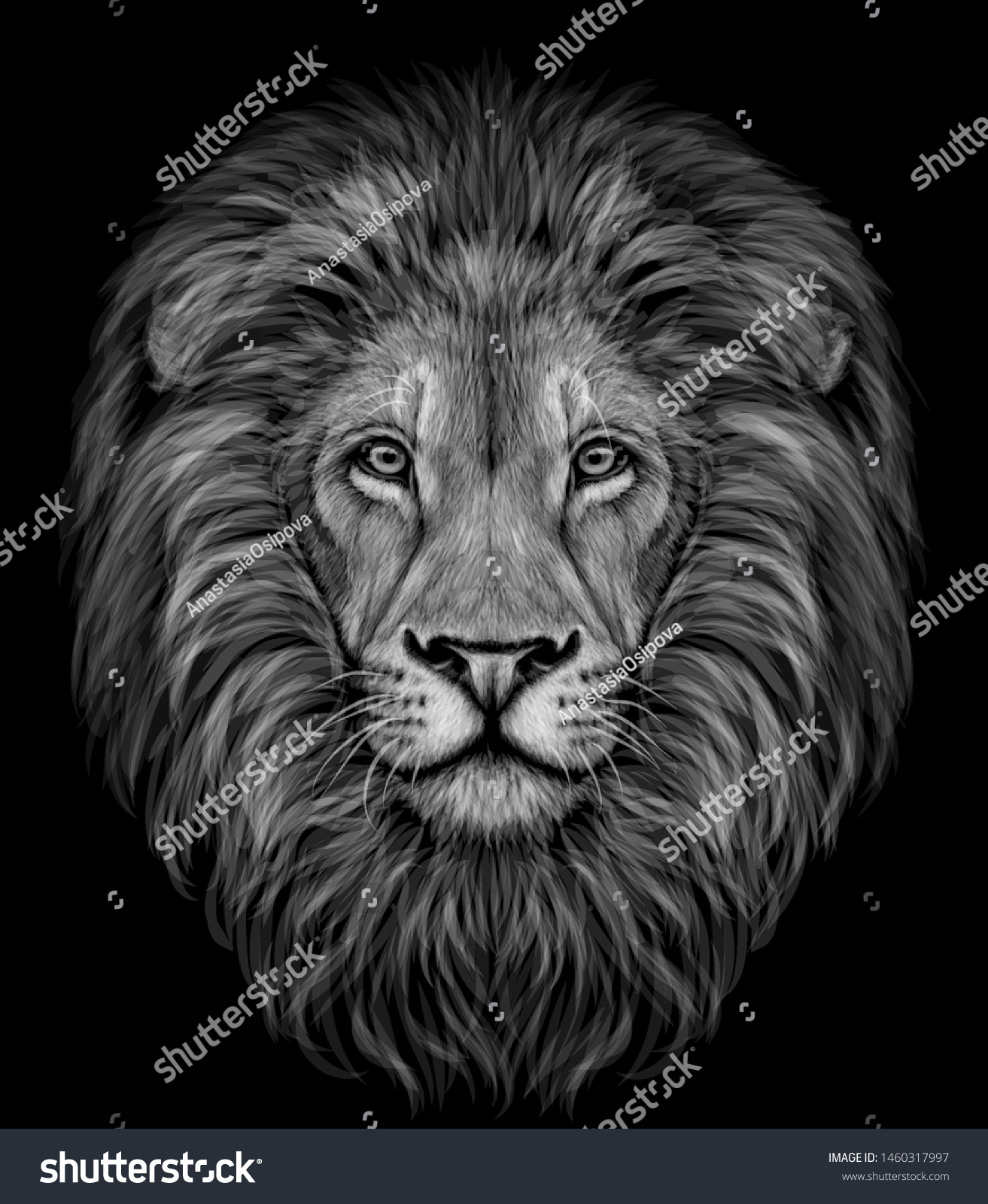 Lion Black White Realistic Graphic Portrait Stock Vector (Royalty Free ...