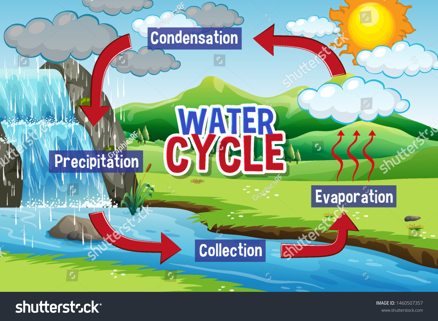 Water Hydrological Cycle On Earth Stock Vector (Royalty Free ...