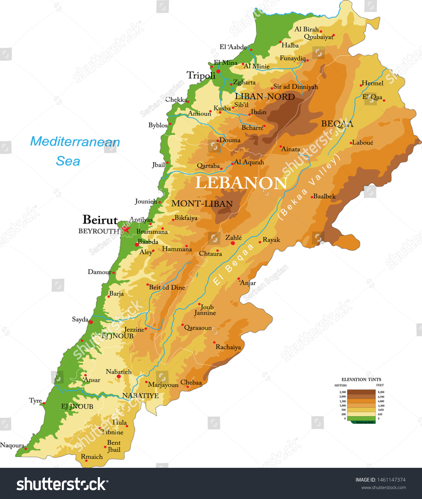 Lebanon Highly Detailed Physical Map Stock Vector (Royalty Free ...