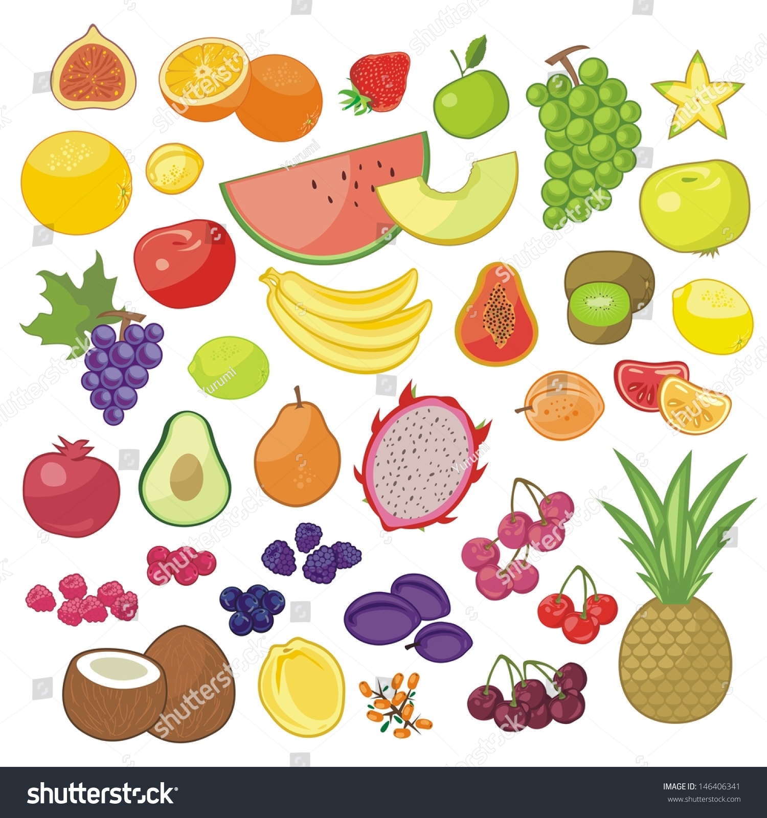 Set Various Seasonal Exotic Fruits Stock Vector (Royalty Free ...