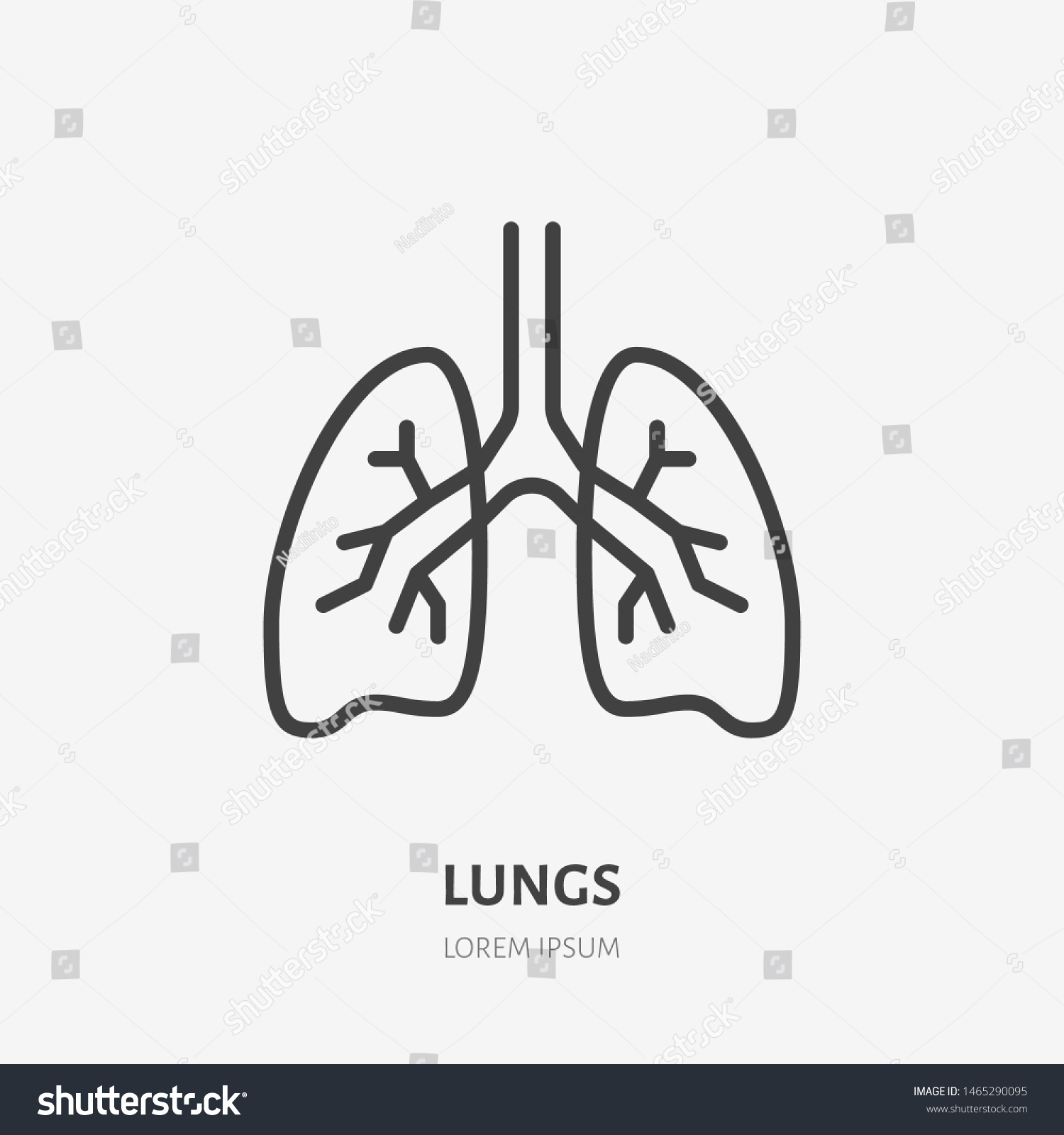 Lungs Flat Line Icon Vector Thin Stock Vector (Royalty Free) 1465290095 ...