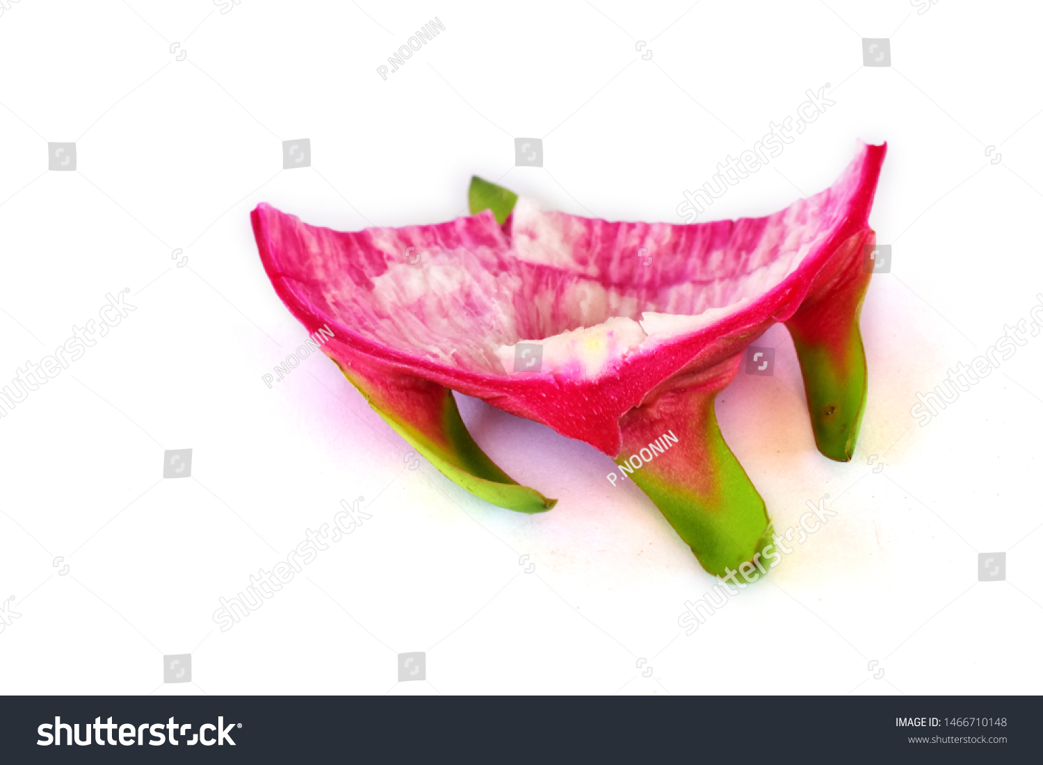 Dragon Fruit Shell Isolated On White Stock Photo 1466710148 | Shutterstock