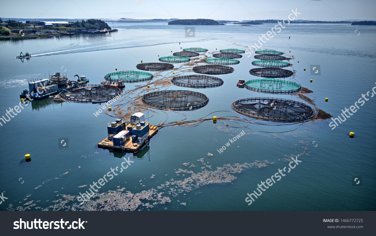 756 Atlantic Salmon Farms Images, Stock Photos & Vectors | Shutterstock